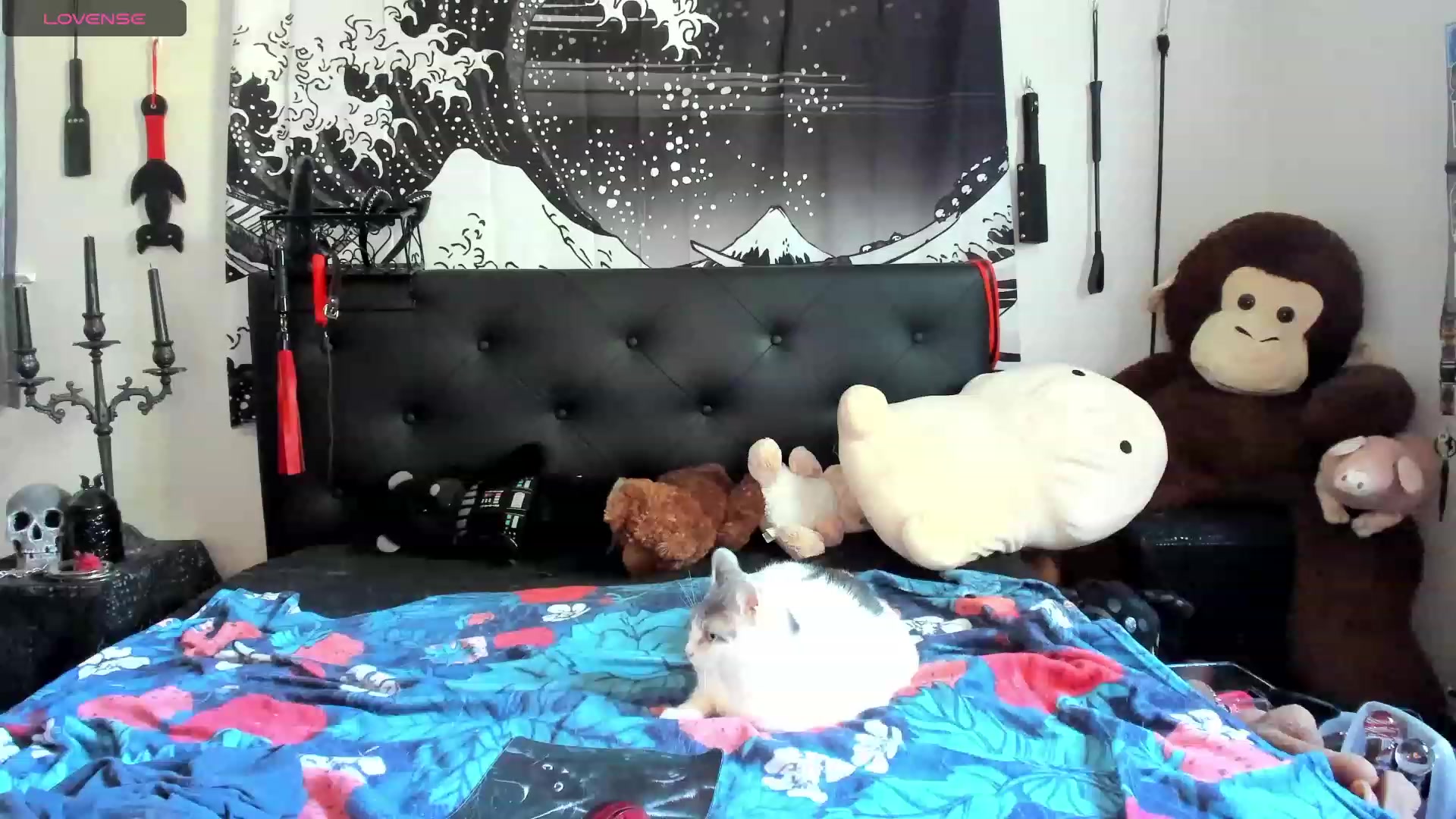 Gallery image thumbnail from SkettiBaby's myfreecams stream on, 09/14/2023, 13:36 image 13 of 20