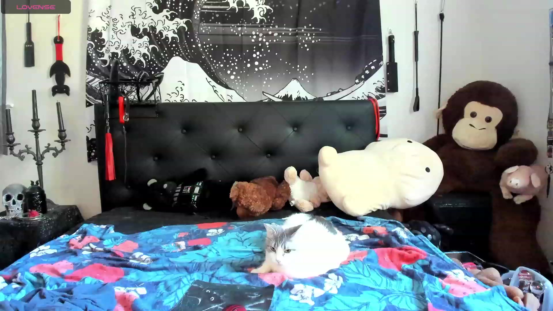 Gallery image thumbnail from SkettiBaby's myfreecams stream on, 09/14/2023, 13:36 image 14 of 20