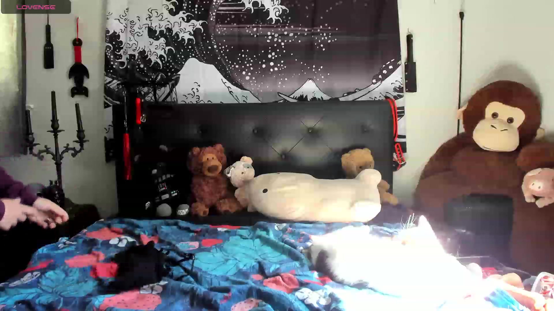 Gallery image thumbnail from SkettiBaby's myfreecams stream on, 09/14/2023, 20:58 image 7 of 20
