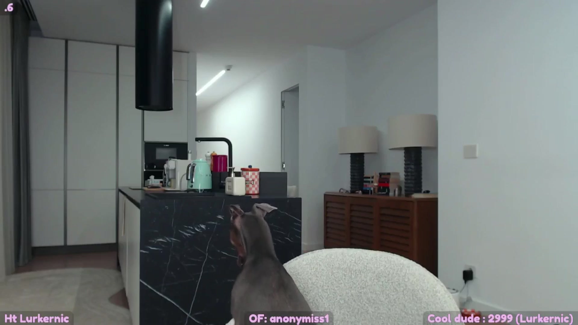Gallery image thumbnail from SkettyLurker's myfreecams stream on, 10/25/2025, 21:55 image 9 of 20