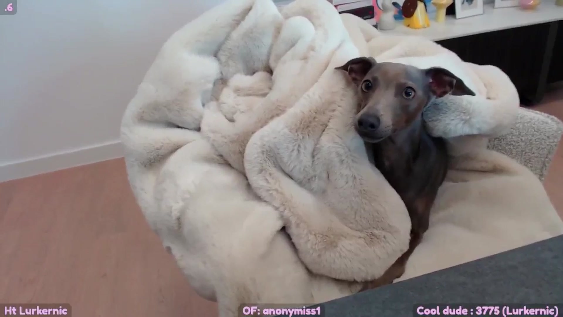Gallery image thumbnail from SkettyLurker's myfreecams stream on, 10/27/2025, 24:16 image 7 of 20