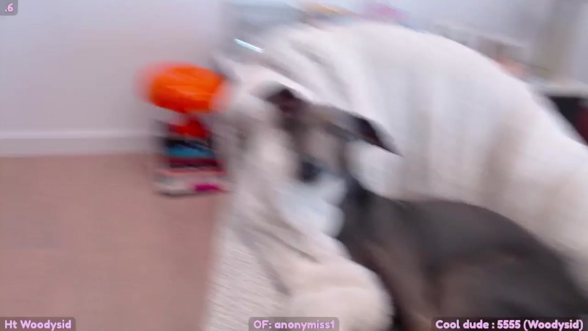 Gallery image thumbnail from SkettyLurker's myfreecams stream on, 10/29/2025, 23:06 image 11 of 20