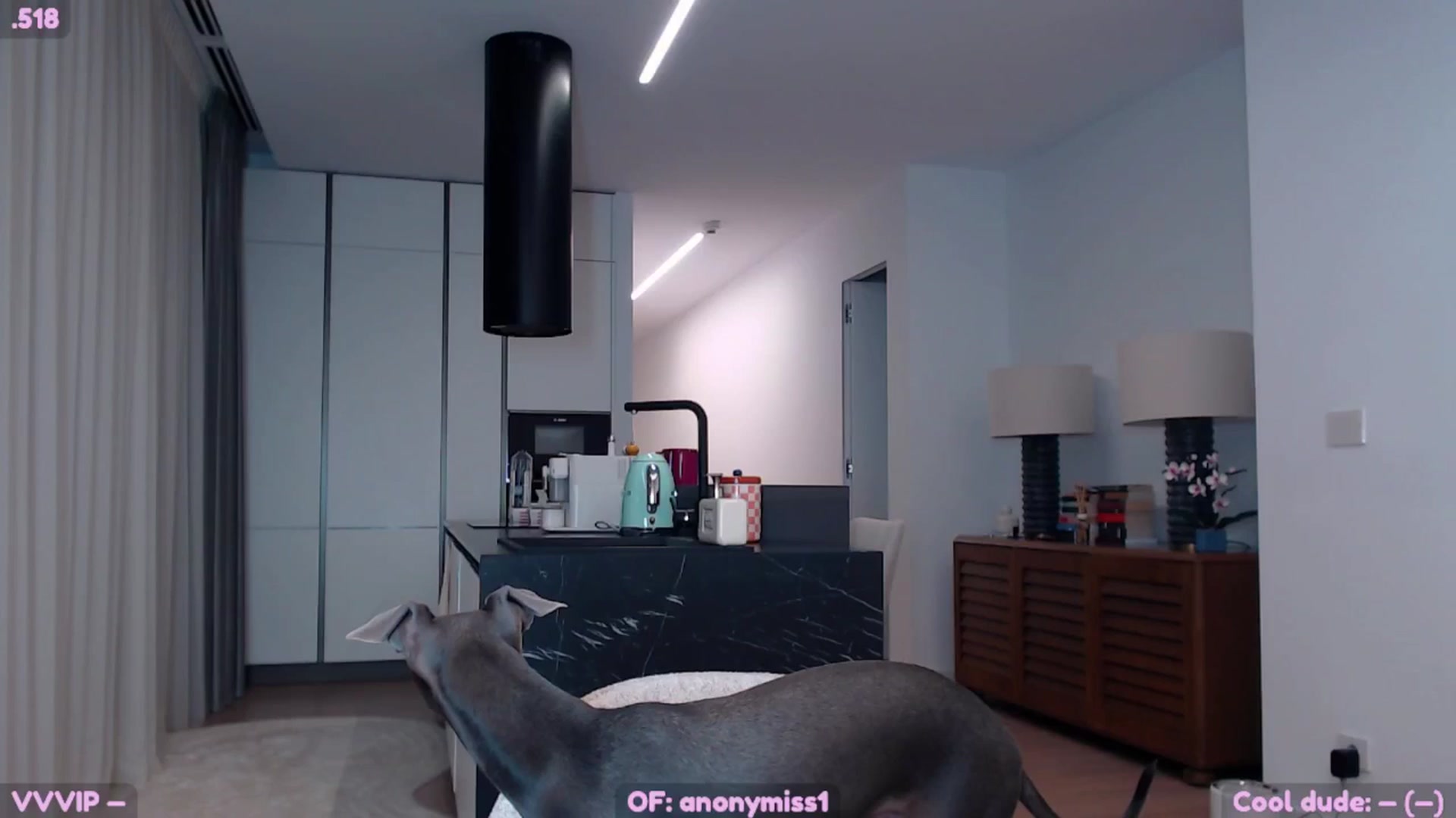 Gallery image thumbnail from SkettyLurker's myfreecams stream on, 11/16/2025, 19:59 image 1 of 20