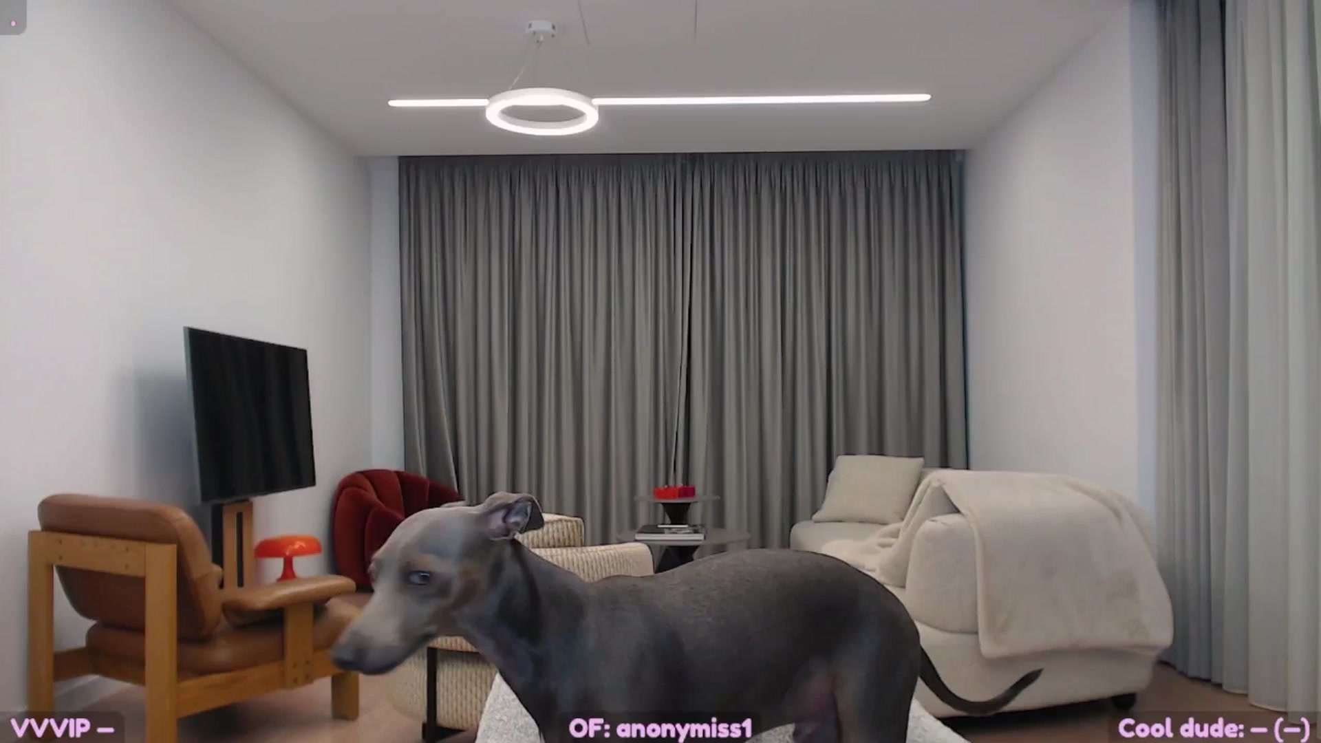 Gallery image thumbnail from SkettyLurker's myfreecams stream on, 04/09/2026, 22:07 image 3 of 20