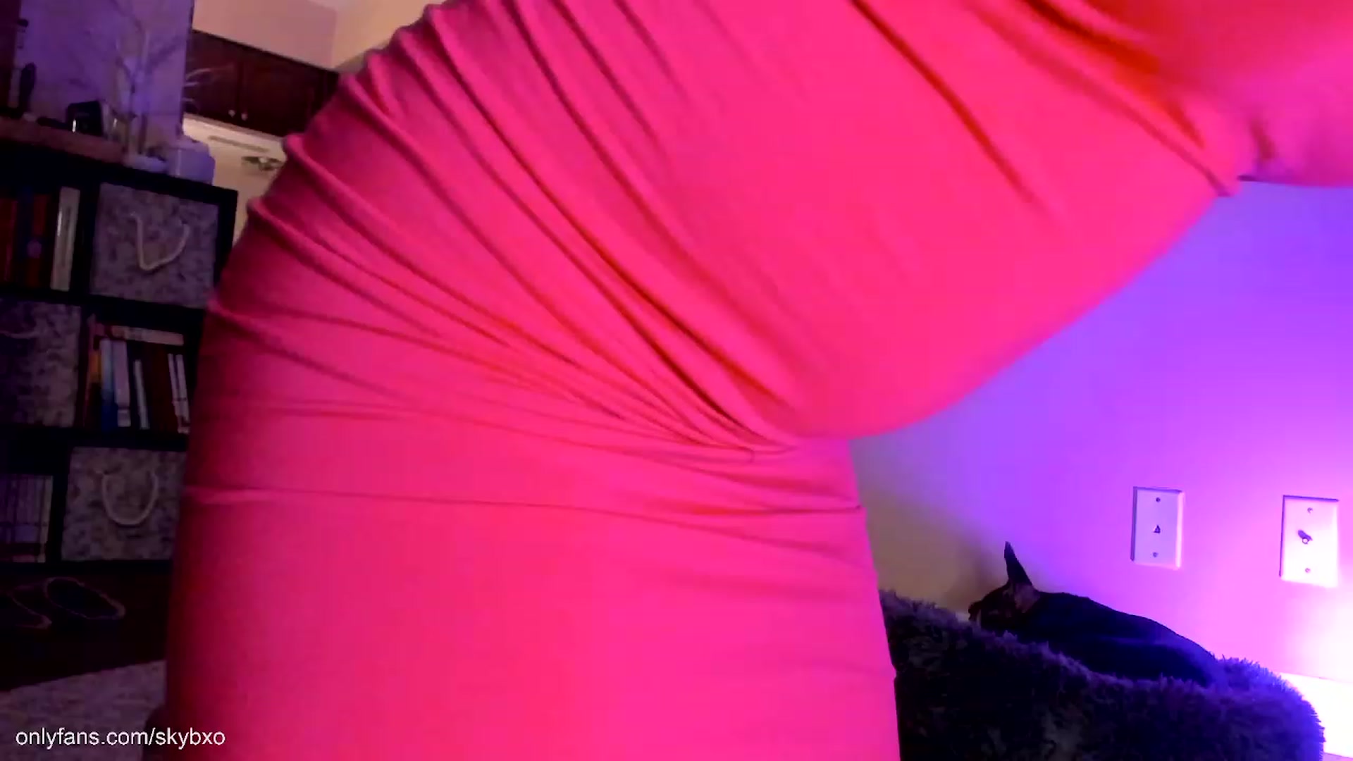 Gallery image thumbnail from SkyB_'s myfreecams stream on, 02/15/2023, 03:53 image 14 of 20