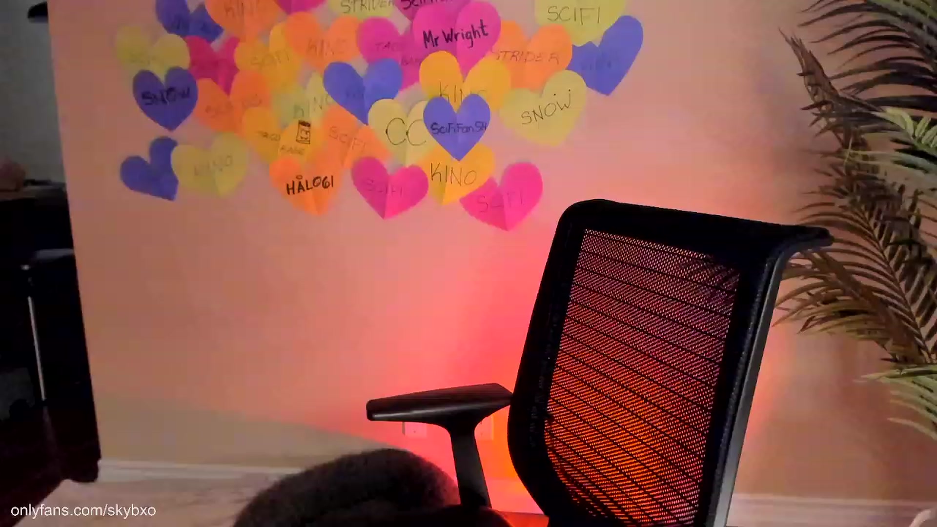 Gallery image thumbnail from SkyB_'s myfreecams stream on, 02/17/2023, 03:02 image 10 of 20