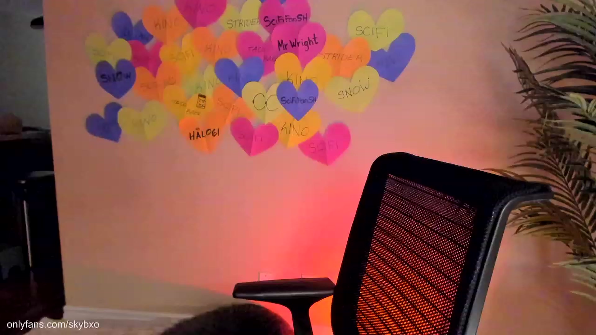 Gallery image thumbnail from SkyB_'s myfreecams stream on, 02/17/2023, 03:02 image 16 of 20