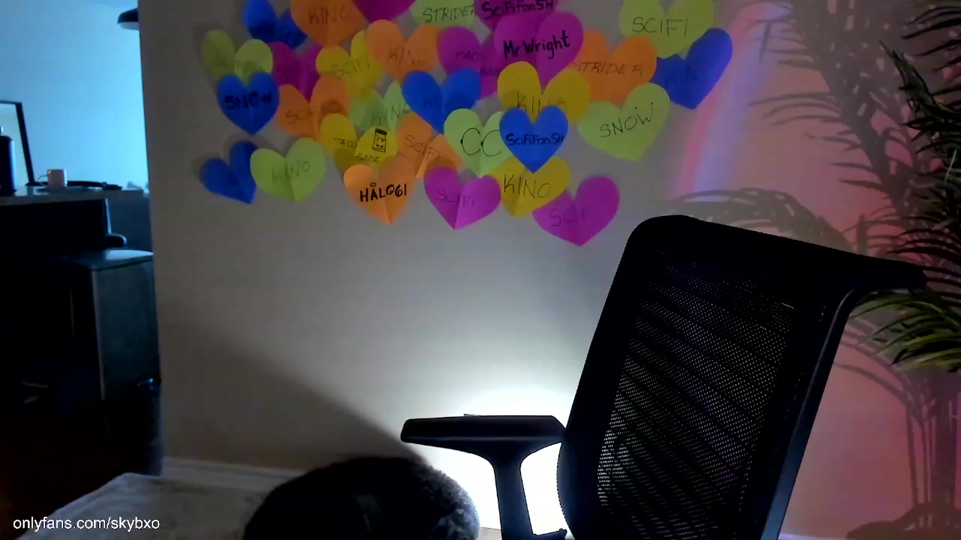 Gallery image thumbnail from SkyB_'s myfreecams stream on, 02/25/2023, 22:02 image 3 of 20