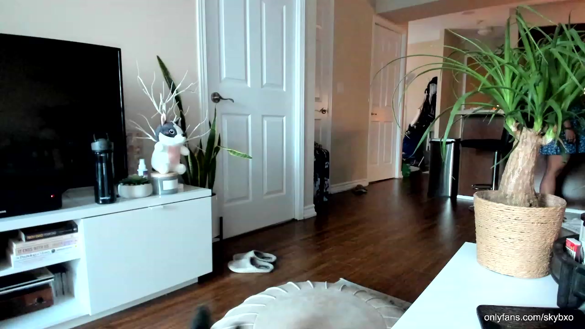 Gallery image thumbnail from SkyB_'s myfreecams stream on, 08/11/2023, 24:37 image 17 of 20