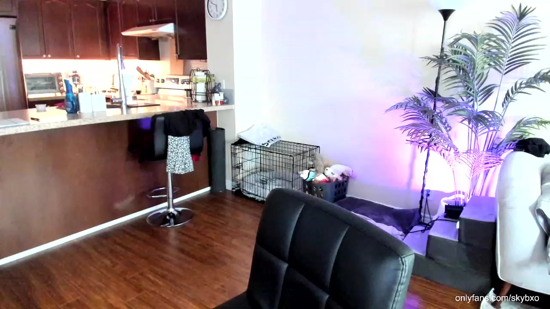 Gallery image thumbnail from SkyB_'s myfreecams stream on, 09/03/2023, 22:34 image 5 of 20