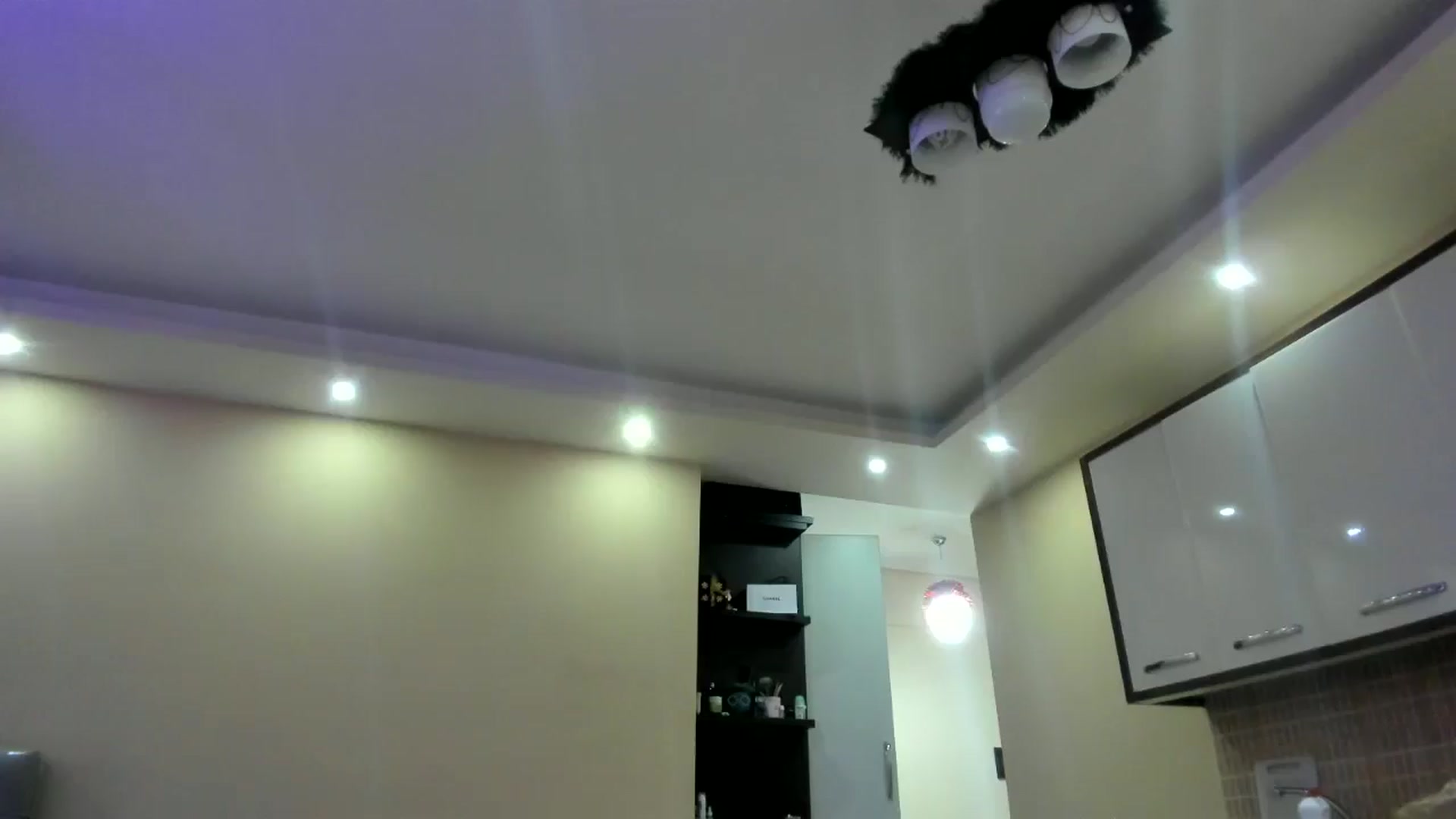 Gallery image thumbnail from SkySunFlower's myfreecams stream on, 11/29/2024, 10:36 image 17 of 20