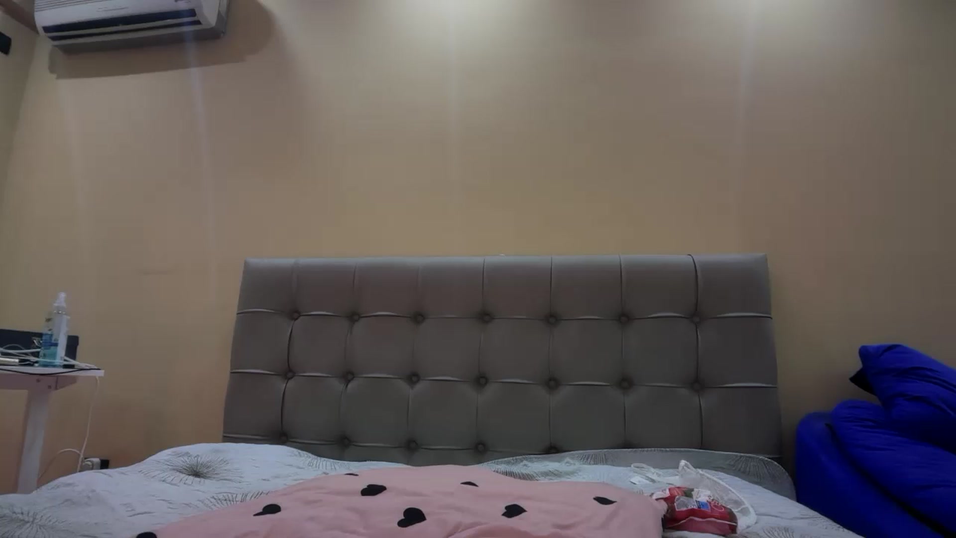 Gallery image thumbnail from SkySunFlower's myfreecams stream on, 01/06/2025, 06:40 image 14 of 20