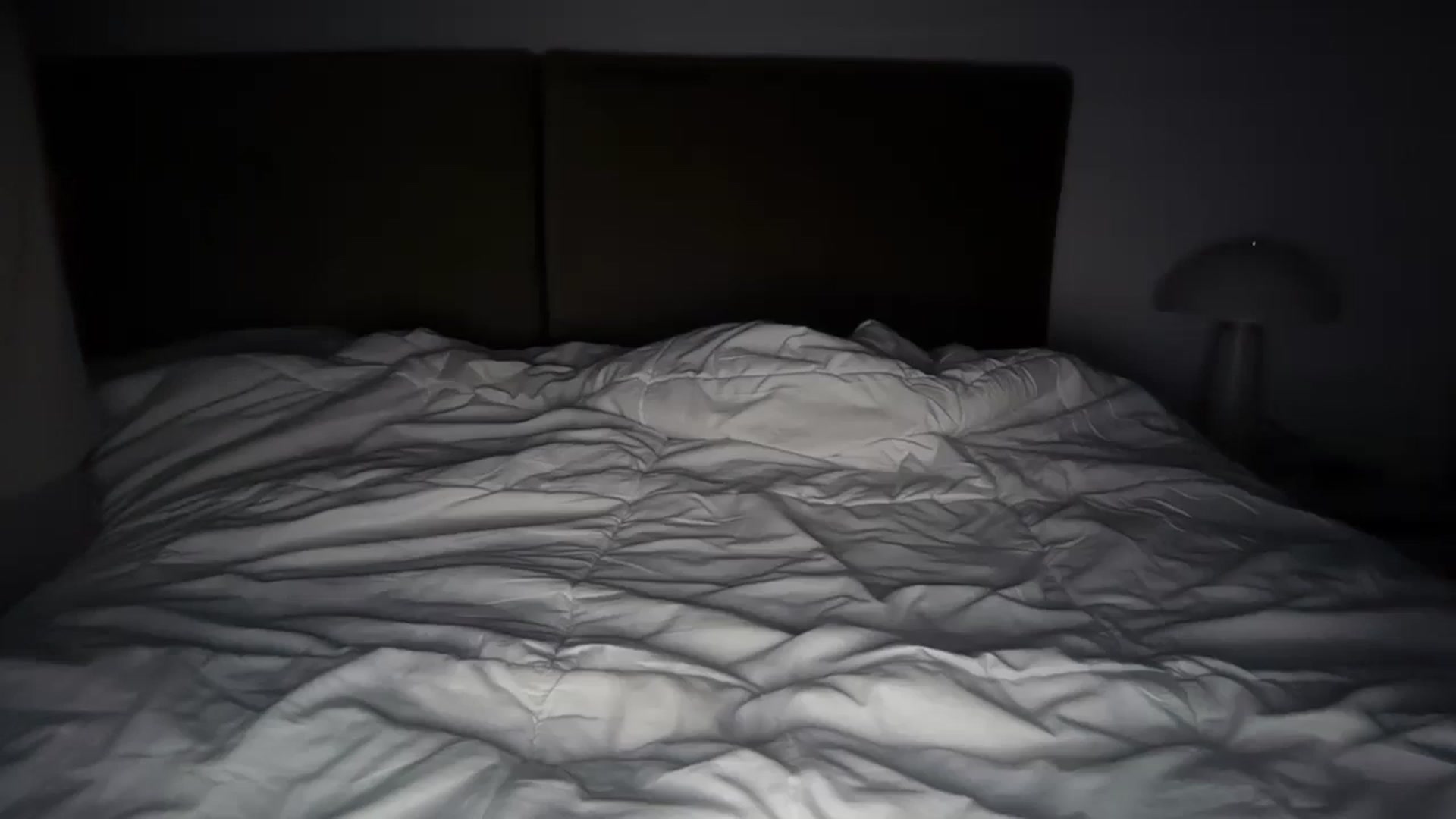 Gallery image thumbnail from SkySunFlower's myfreecams stream on, 05/27/2025, 03:41 image 3 of 20