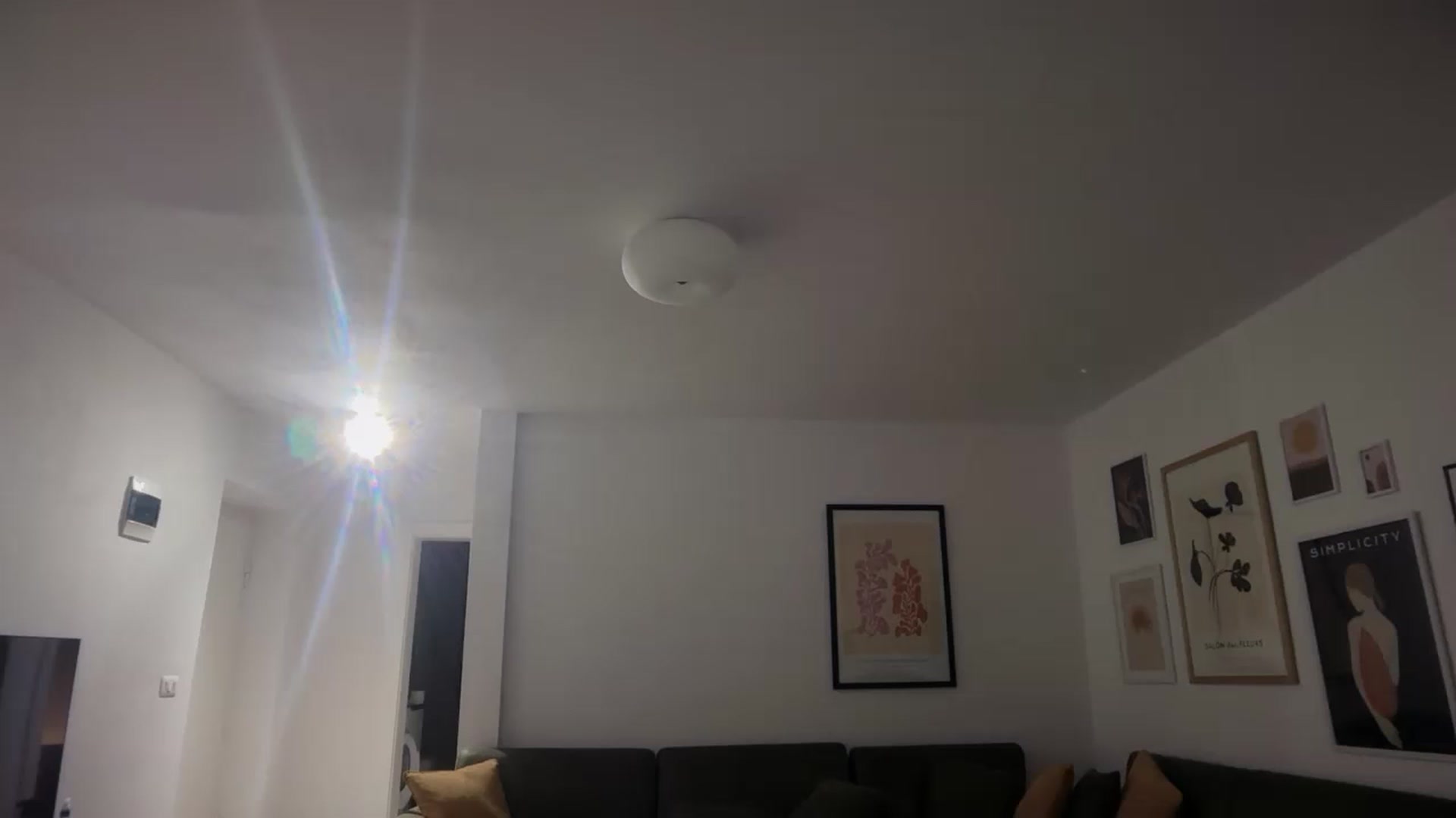 Gallery image thumbnail from SkySunFlower's myfreecams stream on, 06/01/2025, 02:58 image 2 of 20