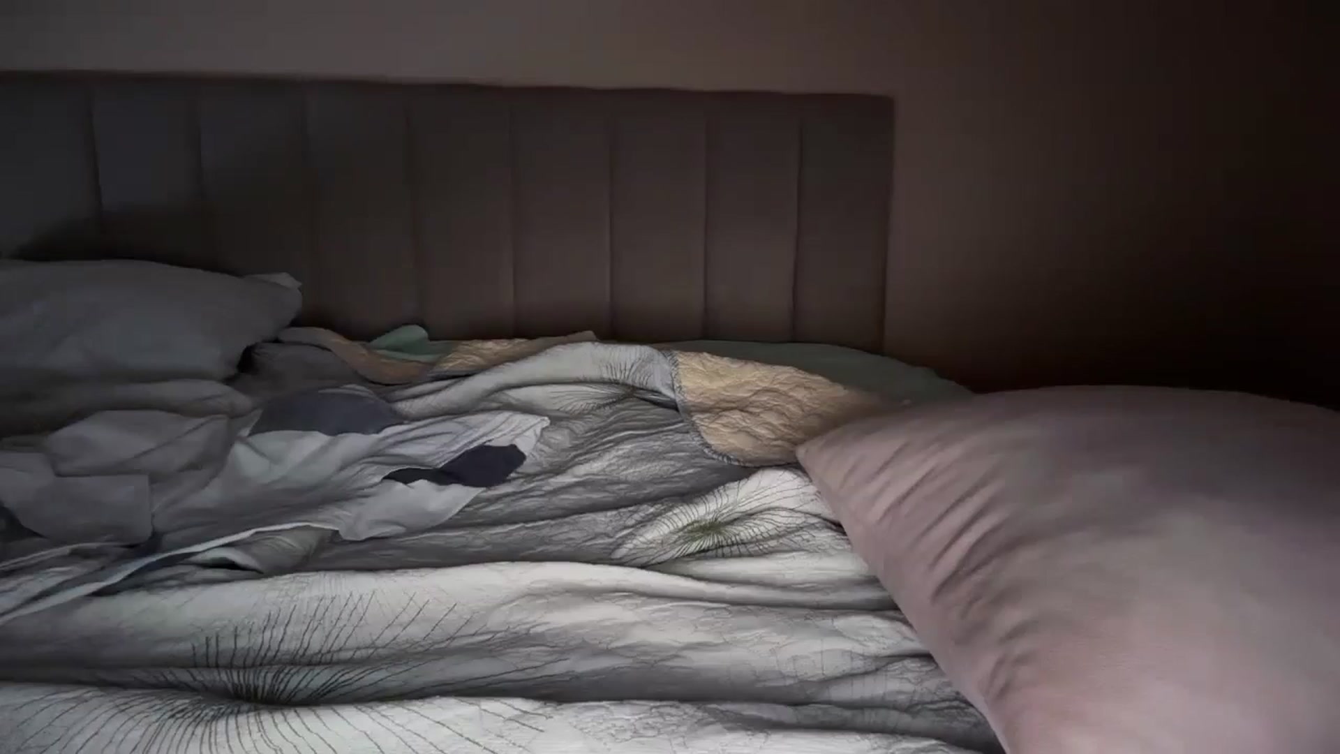 Gallery image thumbnail from SkySunFlower's myfreecams stream on, 08/26/2025, 05:24 image 18 of 20