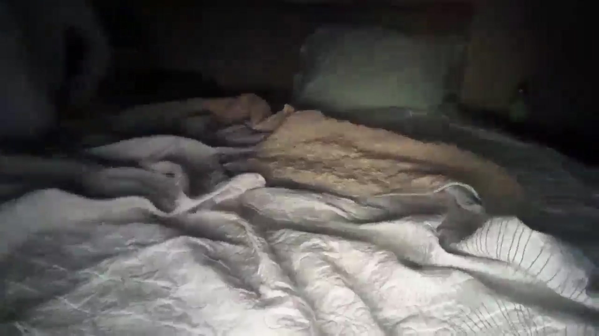 Gallery image thumbnail from SkySunFlower's myfreecams stream on, 09/30/2025, 04:20 image 2 of 20