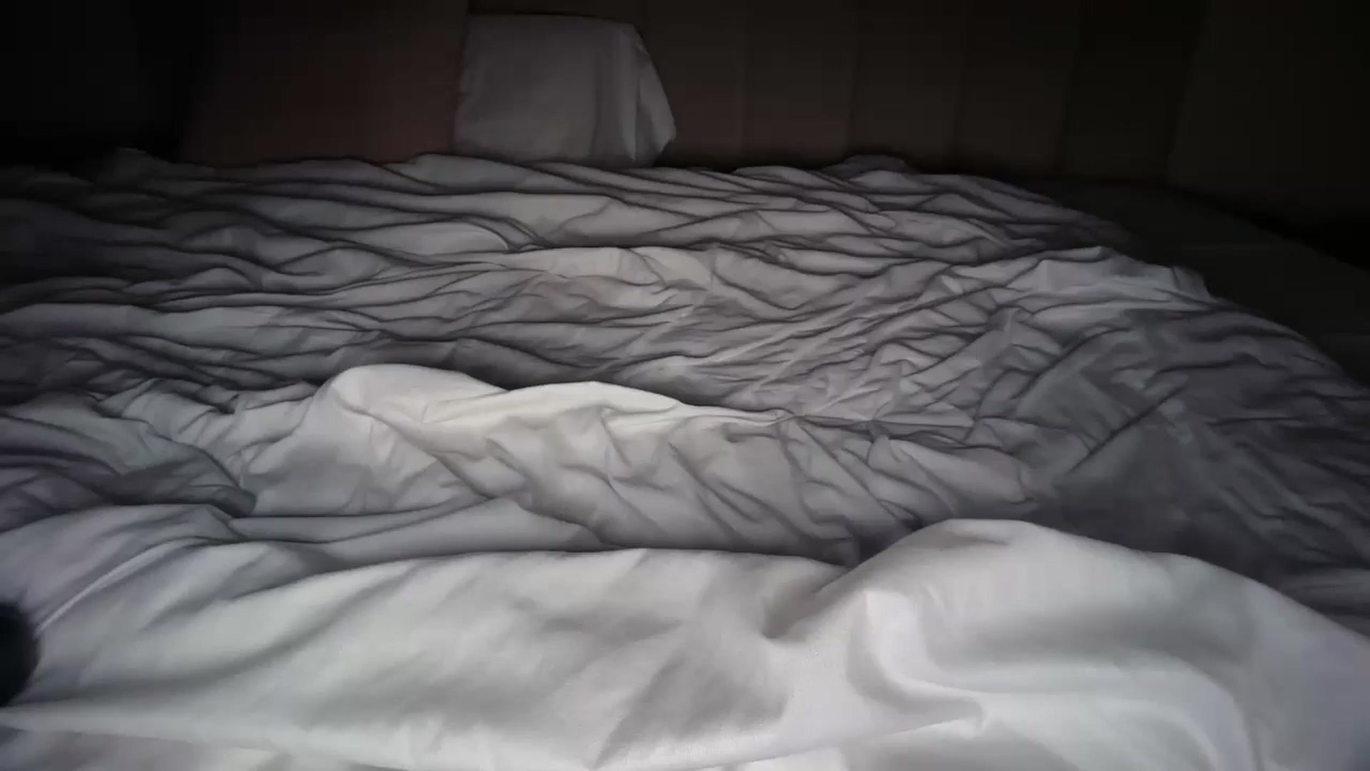 Gallery image thumbnail from SkySunFlower's myfreecams stream on, 11/22/2025, 14:54 image 20 of 20
