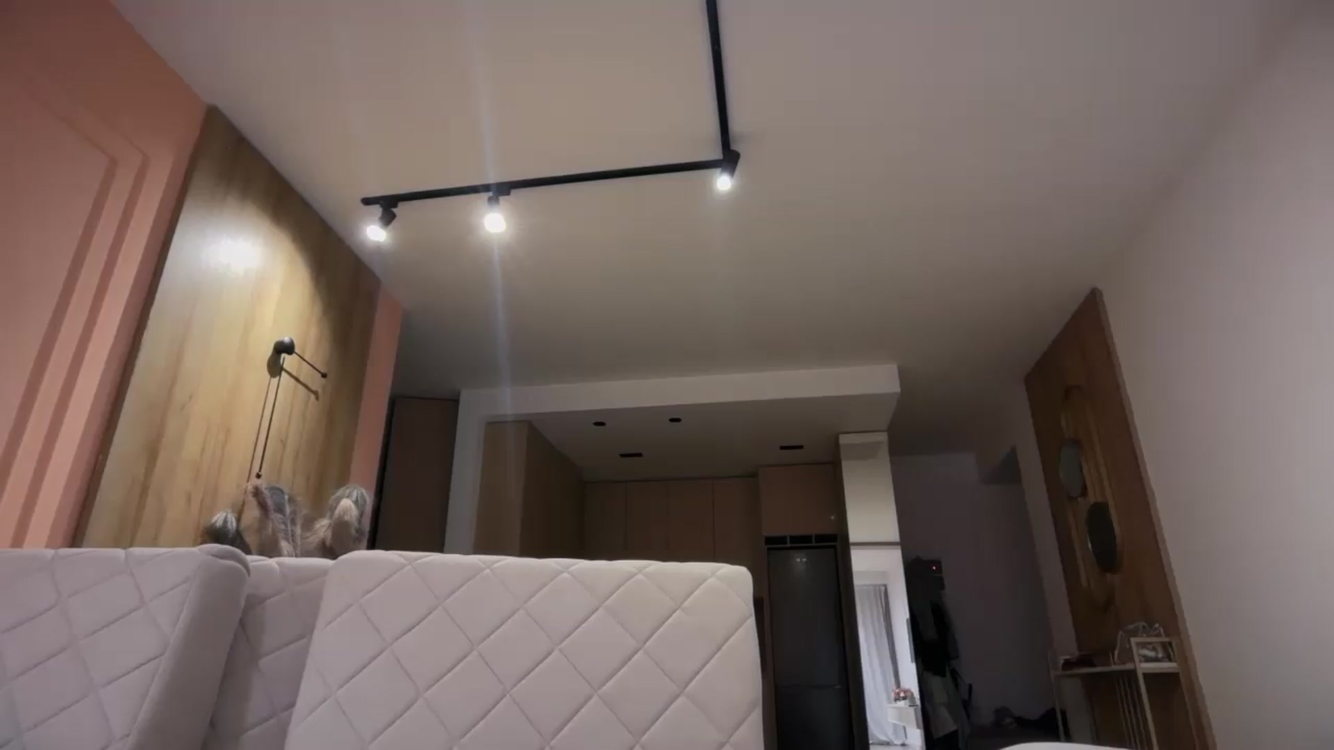 Gallery image thumbnail from SkySunFlower's myfreecams stream on, 05/21/2026, 22:42 image 3 of 20