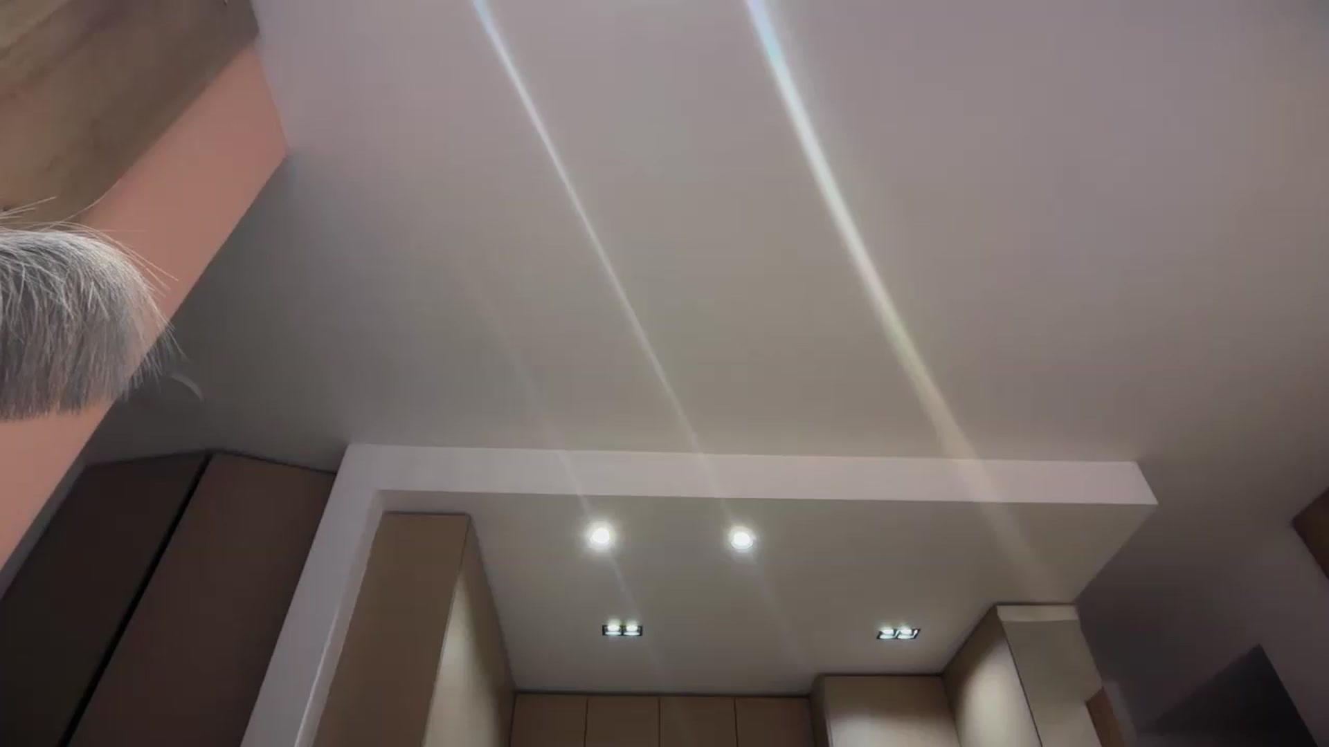 Gallery image thumbnail from SkySunFlower's myfreecams stream on, 06/22/2026, 04:13 image 13 of 20