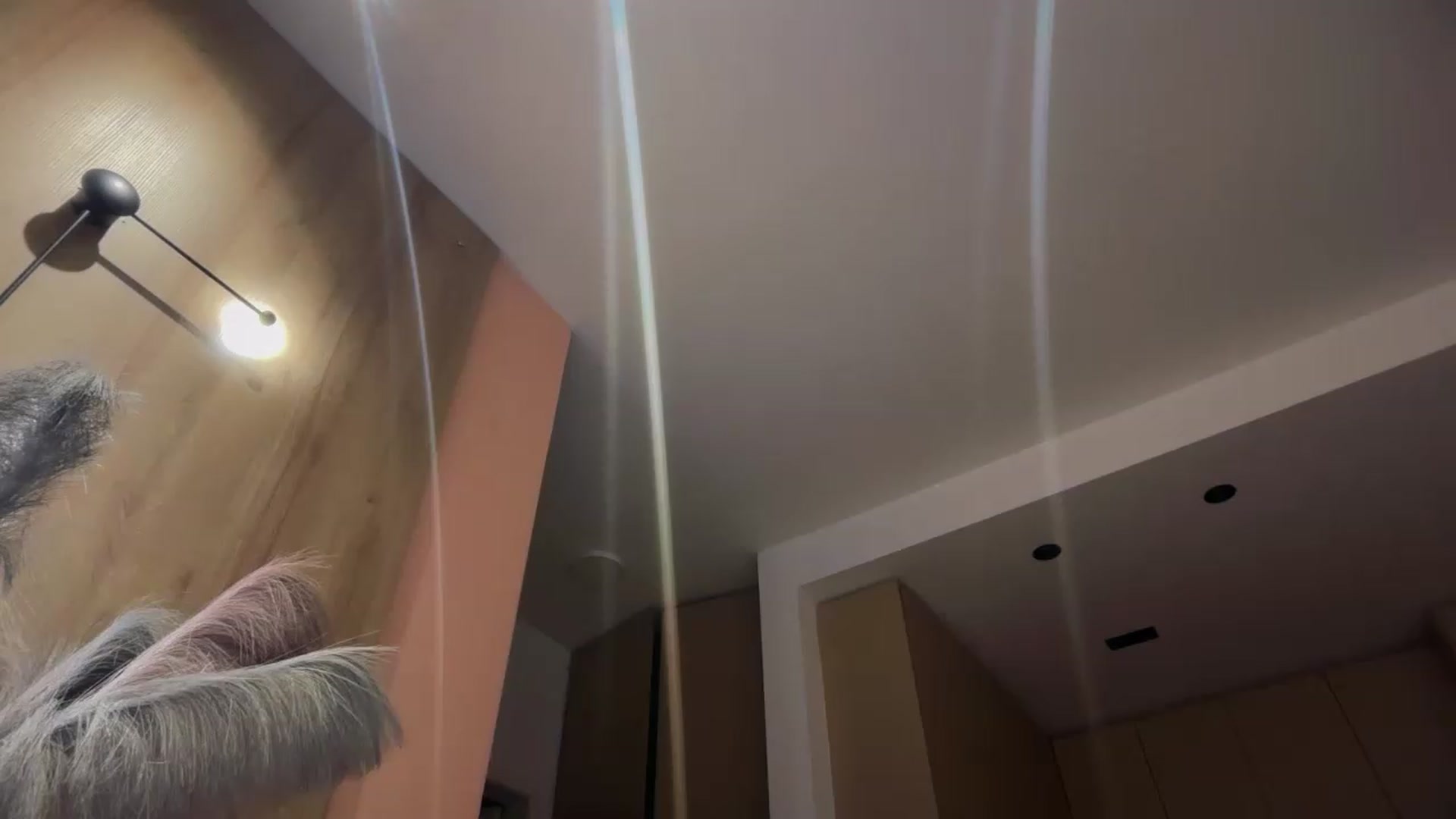 Gallery image thumbnail from SkySunFlower's myfreecams stream on, 08/21/2026, 01:48 image 16 of 20