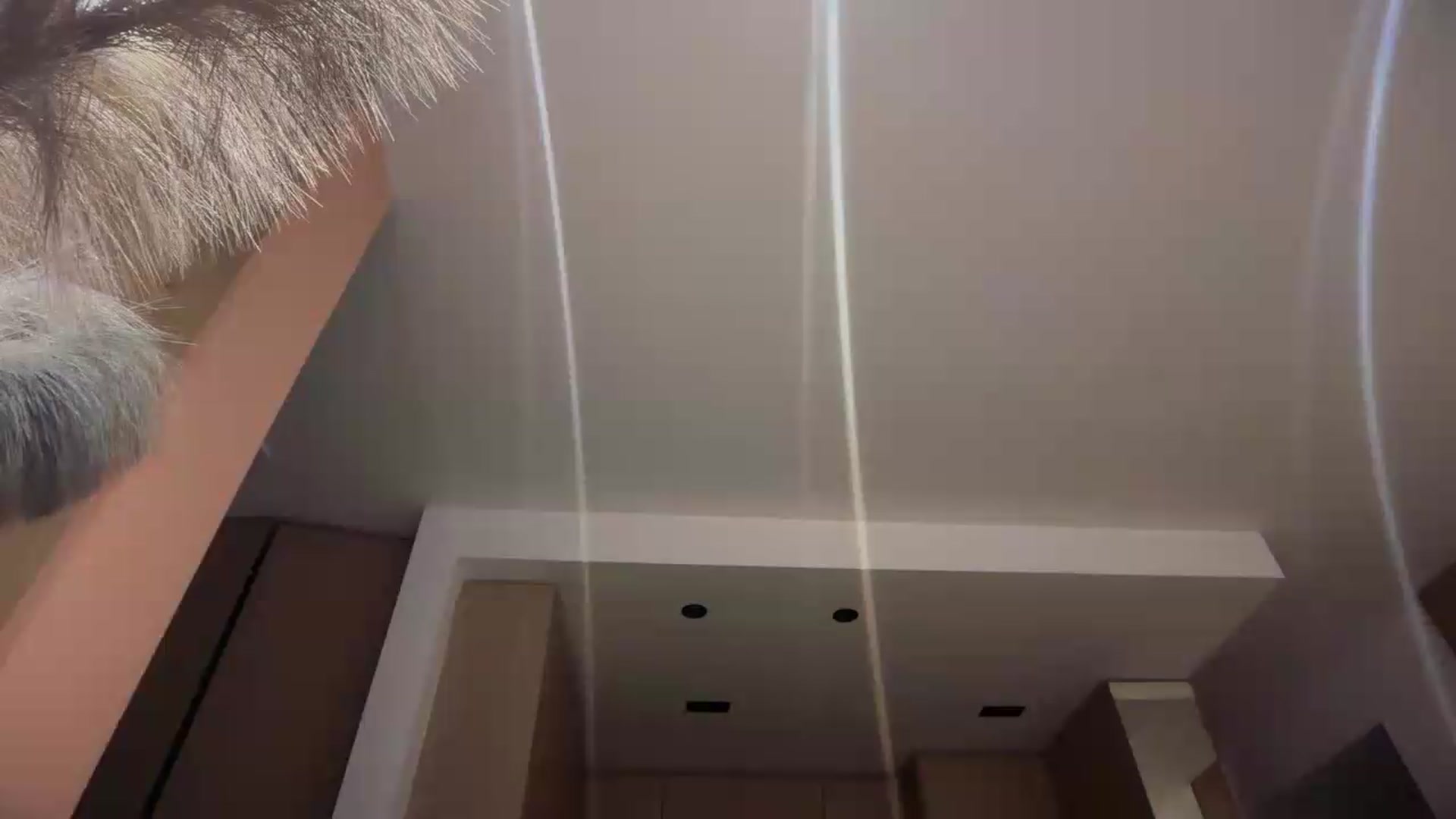 Gallery image thumbnail from SkySunFlower's myfreecams stream on, 08/27/2026, 01:07 image 12 of 20
