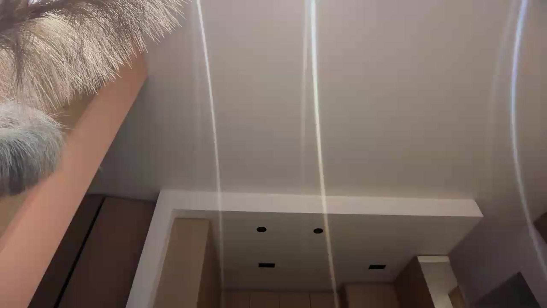 Gallery image thumbnail from SkySunFlower's myfreecams stream on, 08/27/2026, 01:07 image 13 of 20