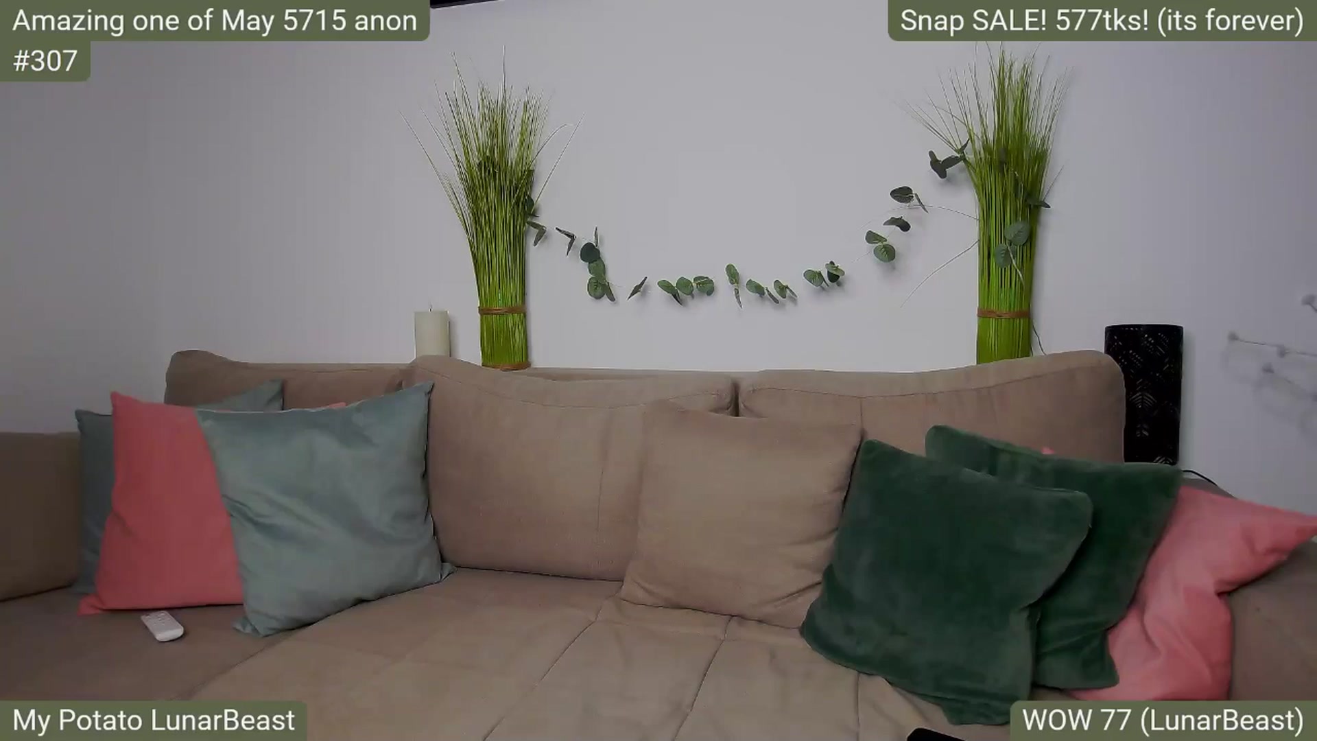 Gallery image thumbnail from SkyV_'s myfreecams stream on, 05/12/2025, 19:05 image 18 of 20