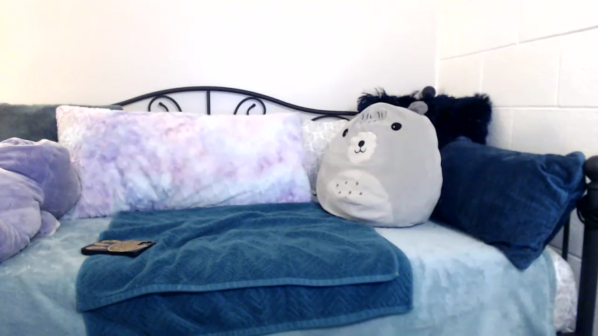 Gallery image thumbnail from Skye_Bunny's myfreecams stream on, 11/25/2022, 09:01 image 13 of 20