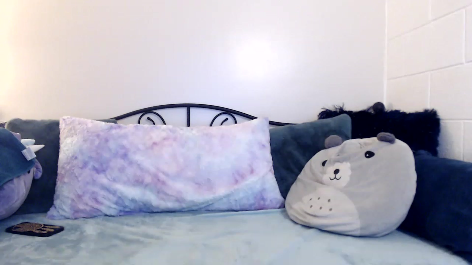 Gallery image thumbnail from Skye_Bunny's myfreecams stream on, 11/25/2022, 10:39 image 14 of 20