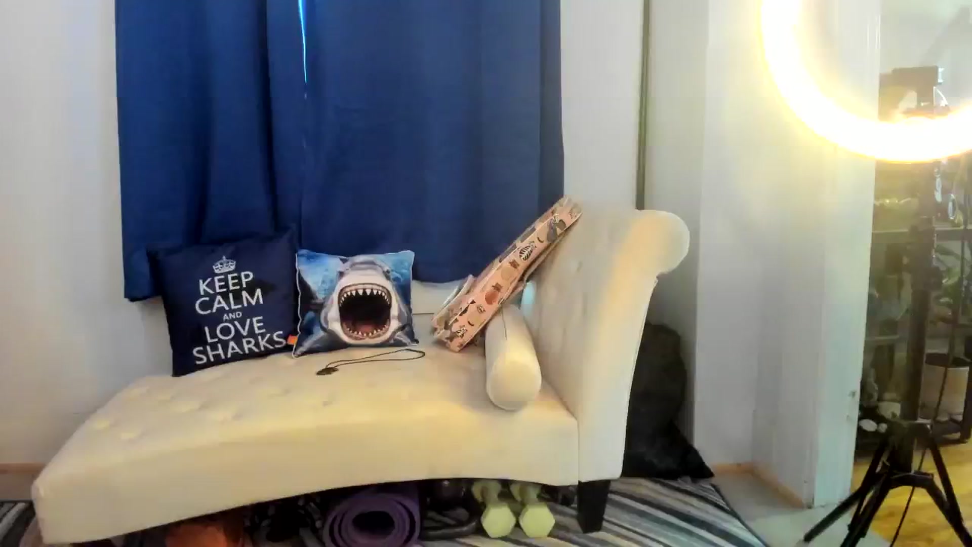 Gallery image thumbnail from SkylarShark's myfreecams stream on, 10/12/2023, 16:19 image 19 of 20
