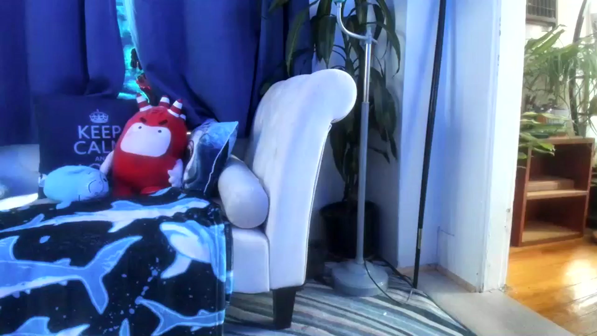 Gallery image thumbnail from SkylarShark's myfreecams stream on, 04/07/2024, 17:21 image 18 of 20