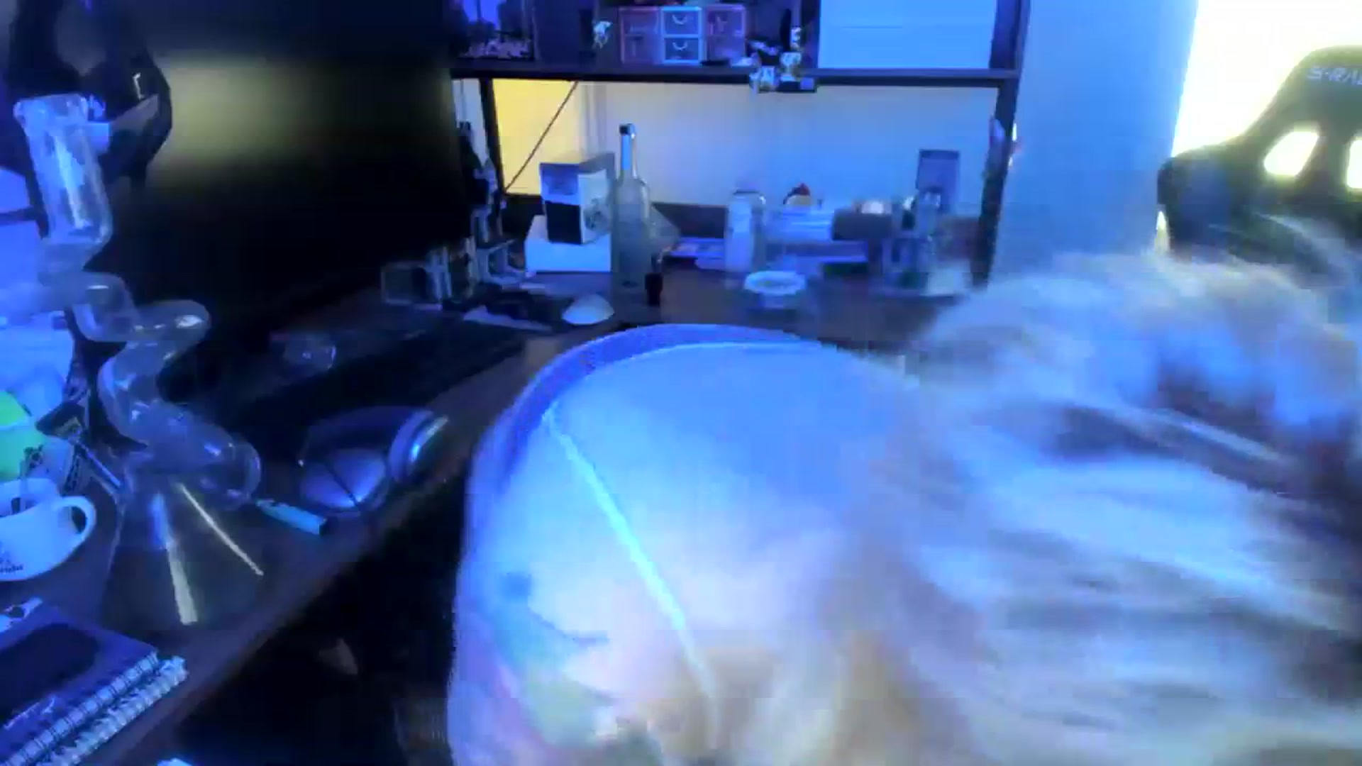 Gallery image thumbnail from SkylarShark's myfreecams stream on, 04/07/2024, 17:21 image 8 of 20