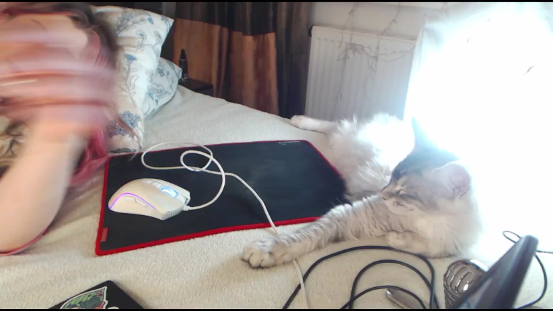Gallery image thumbnail from Sleepy_AF's myfreecams stream on, 11/03/2024, 16:45 image 19 of 20