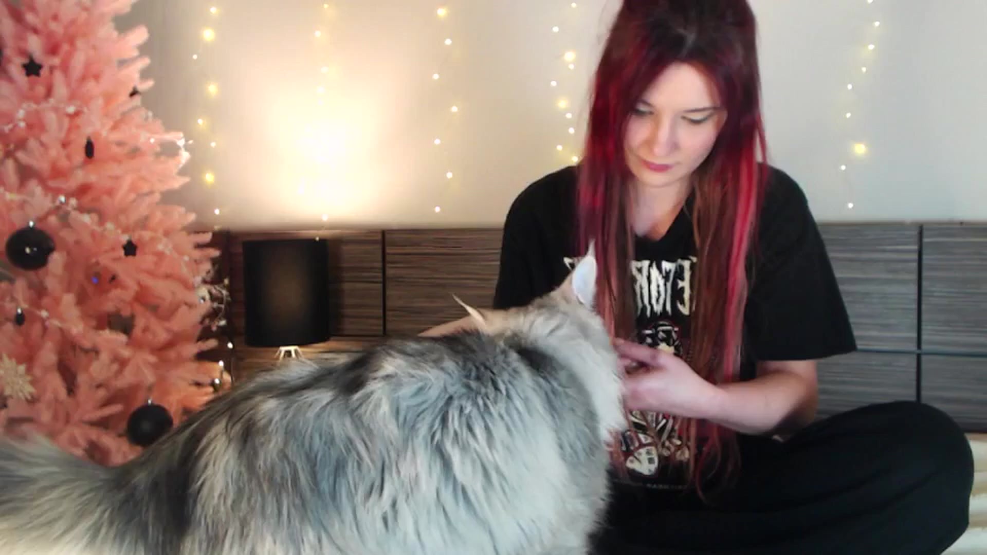 Gallery image thumbnail from Sleepy_AF's myfreecams stream on, 01/02/2025, 23:39 image 5 of 20