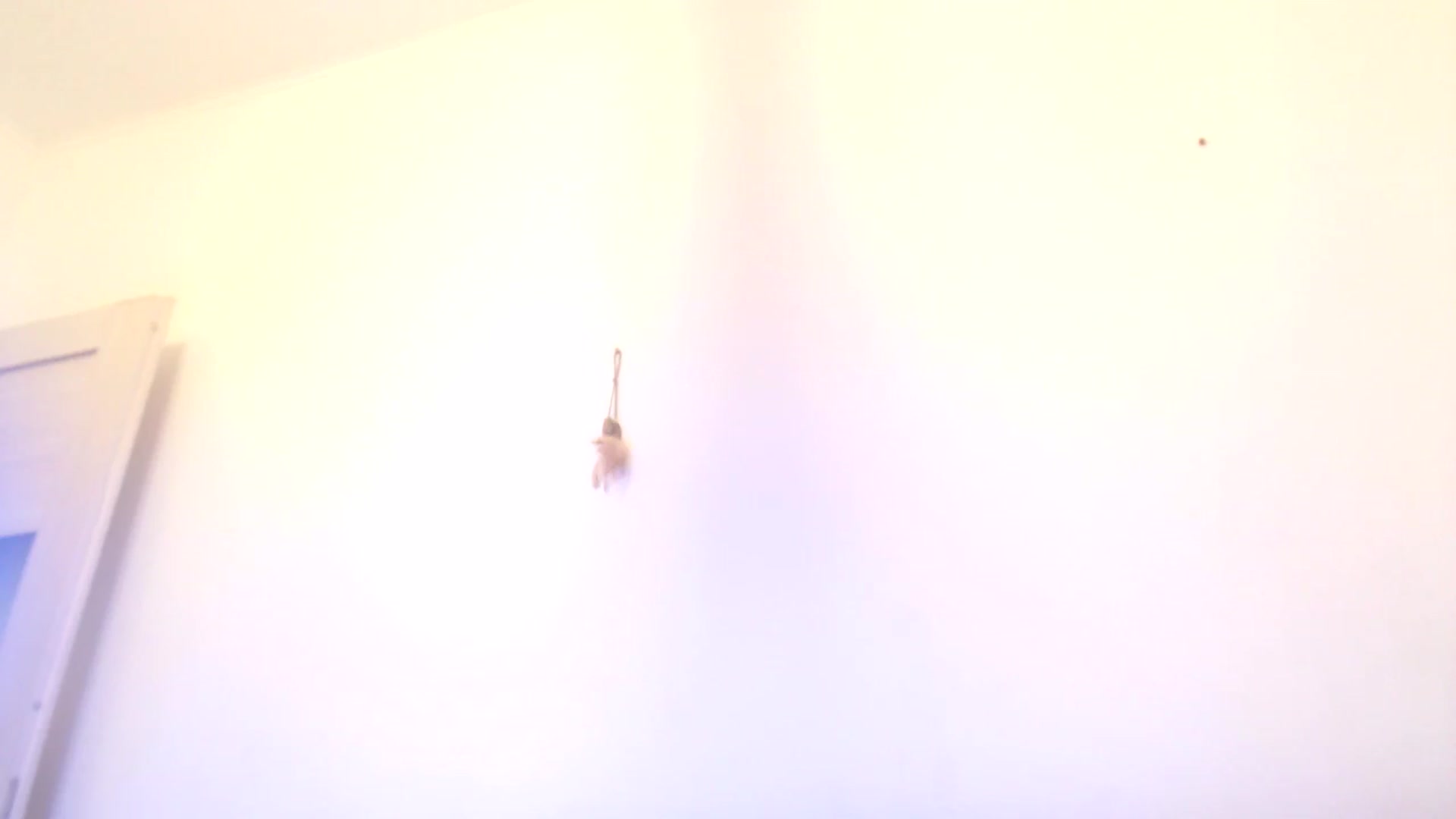 Gallery image thumbnail from Sleepy_AF's myfreecams stream on, 04/09/2025, 23:33 image 20 of 20