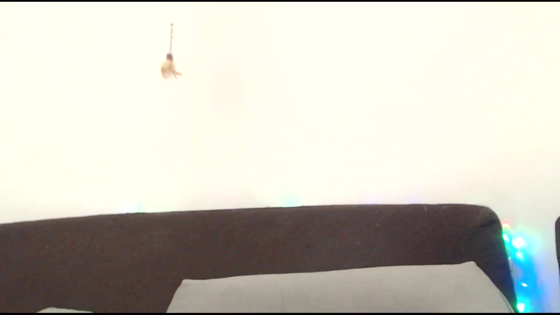 Gallery image thumbnail from Sleepy_AF's myfreecams stream on, 05/04/2025, 23:36 image 15 of 20