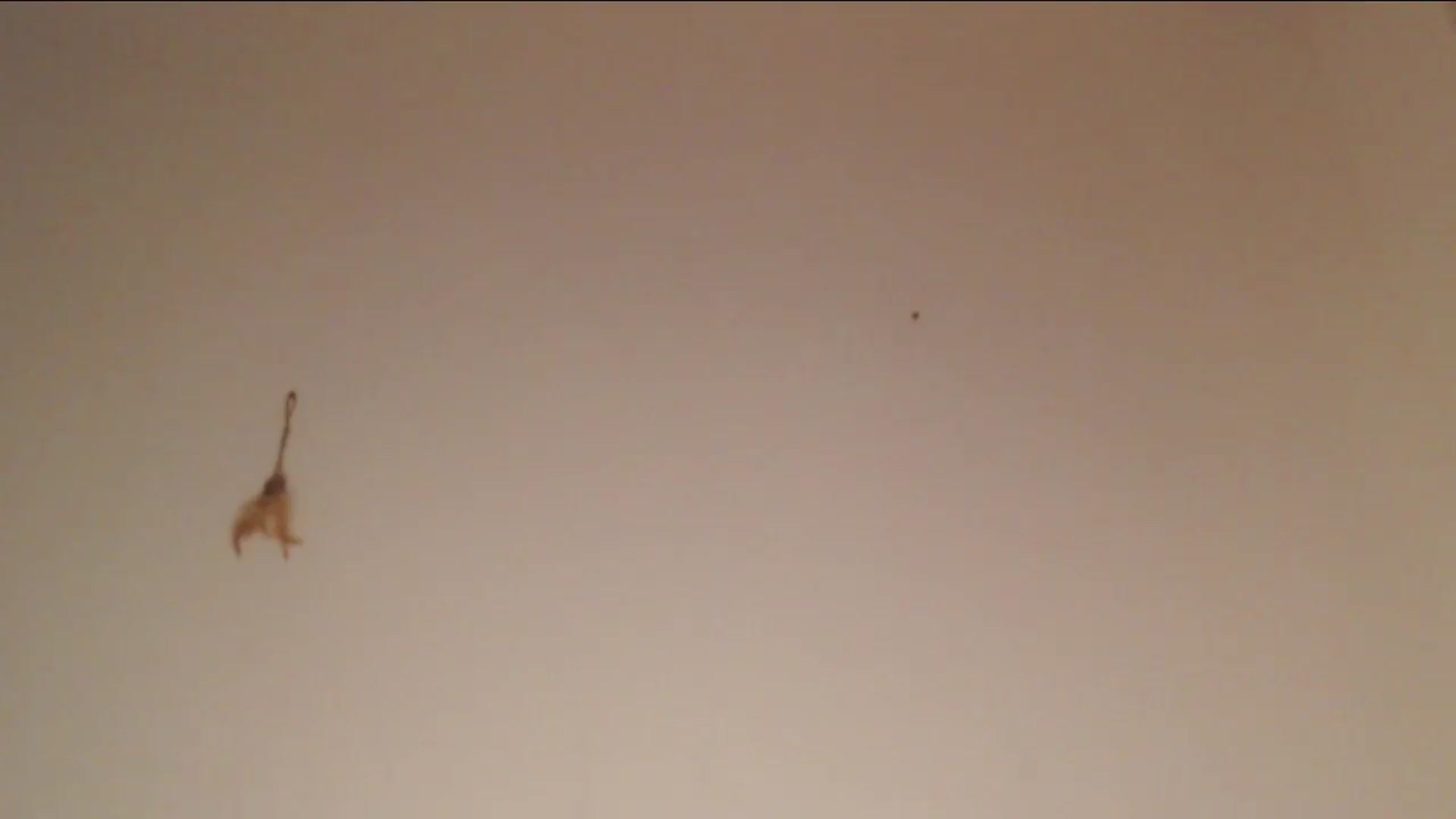 Gallery image thumbnail from Sleepy_AF's myfreecams stream on, 05/26/2025, 19:56 image 8 of 20