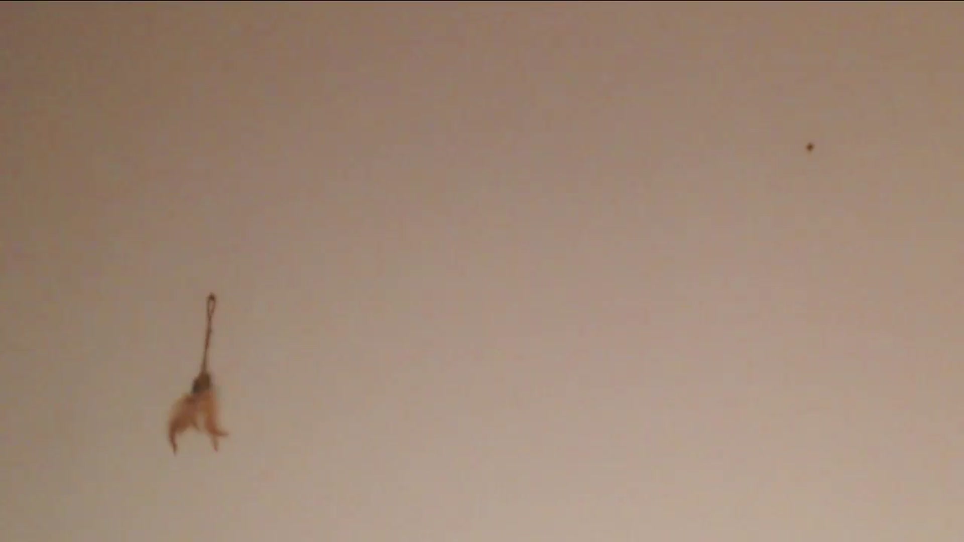 Gallery image thumbnail from Sleepy_AF's myfreecams stream on, 05/26/2025, 19:56 image 20 of 20