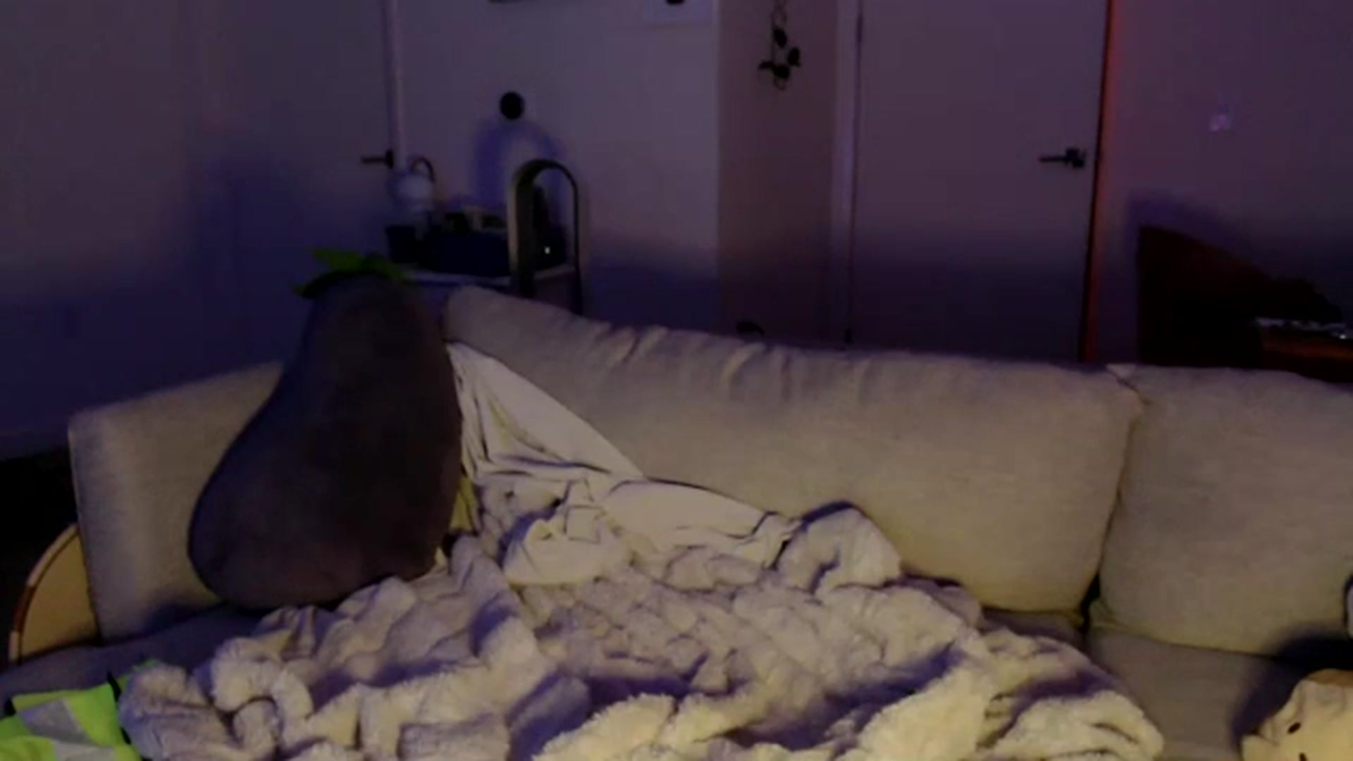 Gallery image thumbnail from Sleepych3w's myfreecams stream on, 07/20/2023, 04:43 image 16 of 20
