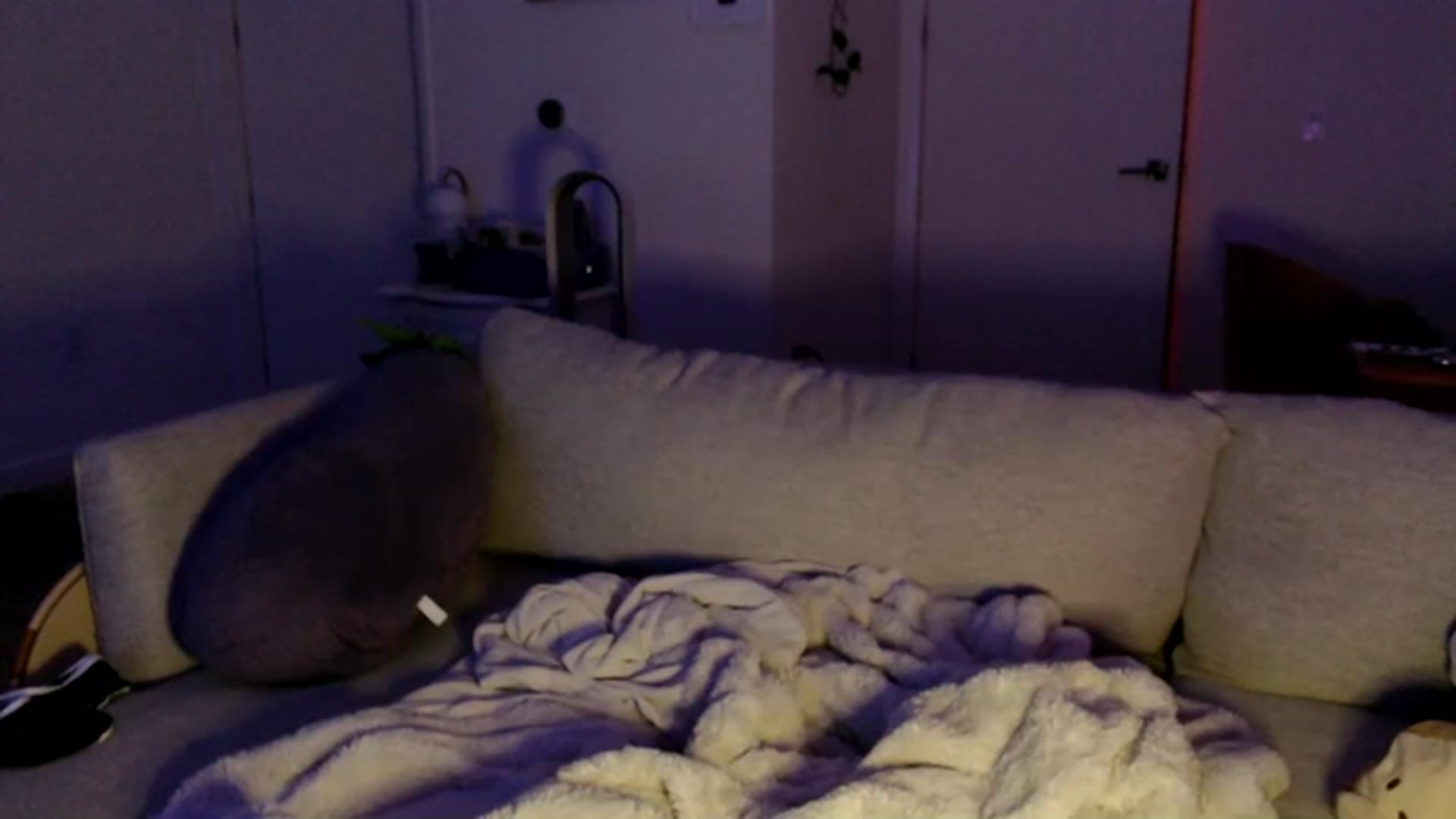 Gallery image thumbnail from Sleepych3w's myfreecams stream on, 07/20/2023, 04:43 image 18 of 20
