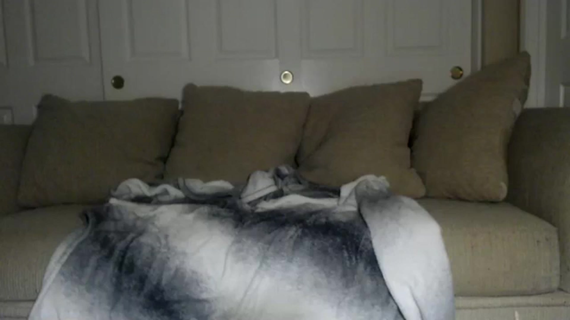 Gallery image thumbnail from Sleepych3w's myfreecams stream on, 02/23/2024, 05:51 image 10 of 20