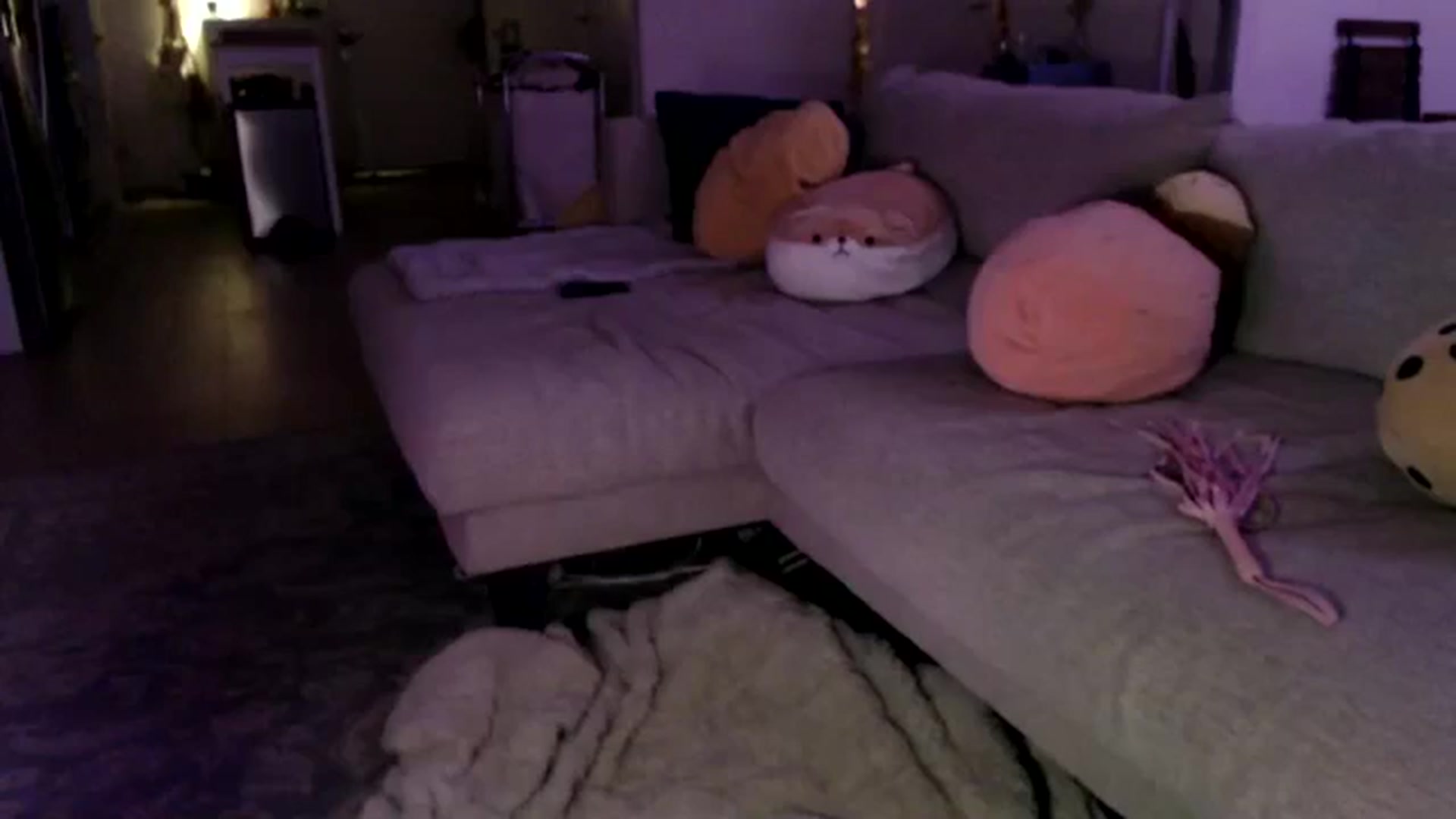 Gallery image thumbnail from Sleepych3w's myfreecams stream on, 06/14/2024, 05:24 image 13 of 20