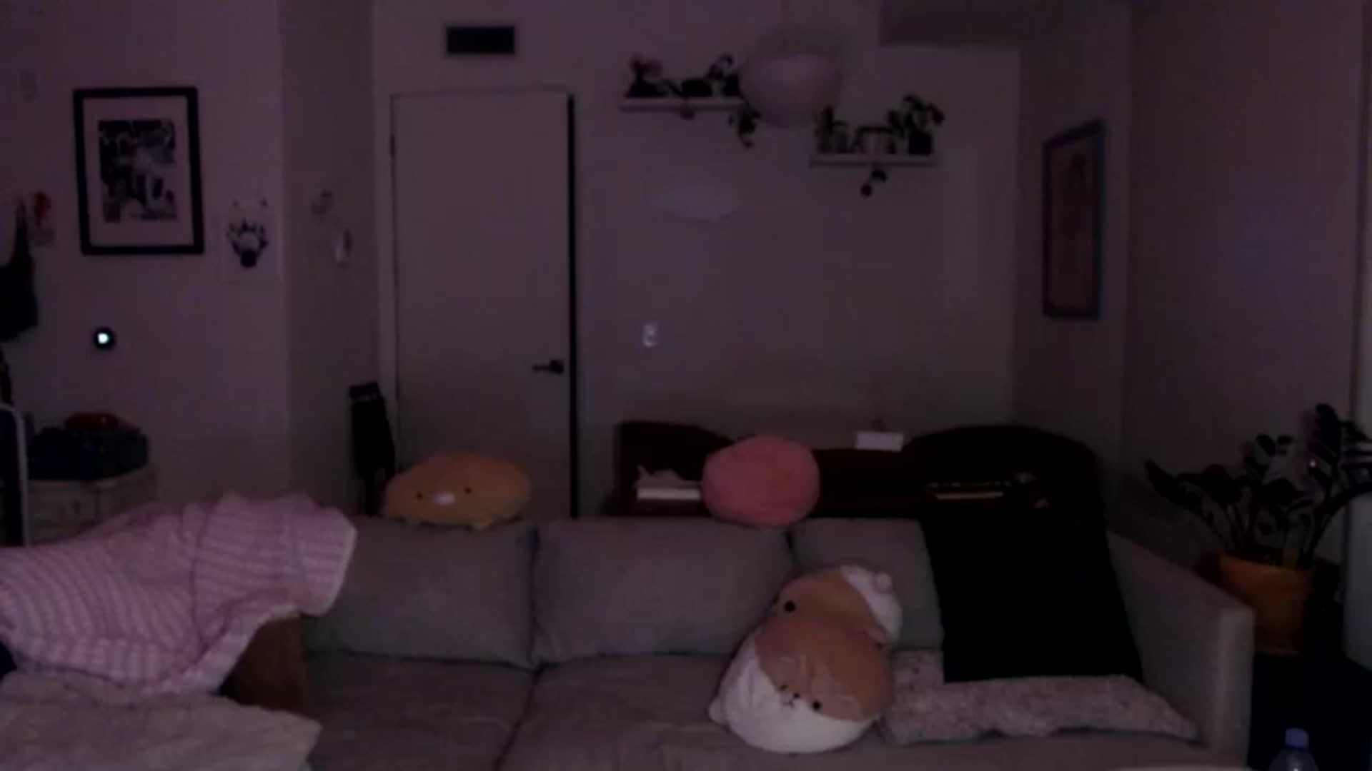 Gallery image thumbnail from Sleepych3w's myfreecams stream on, 08/01/2024, 04:43 image 14 of 20