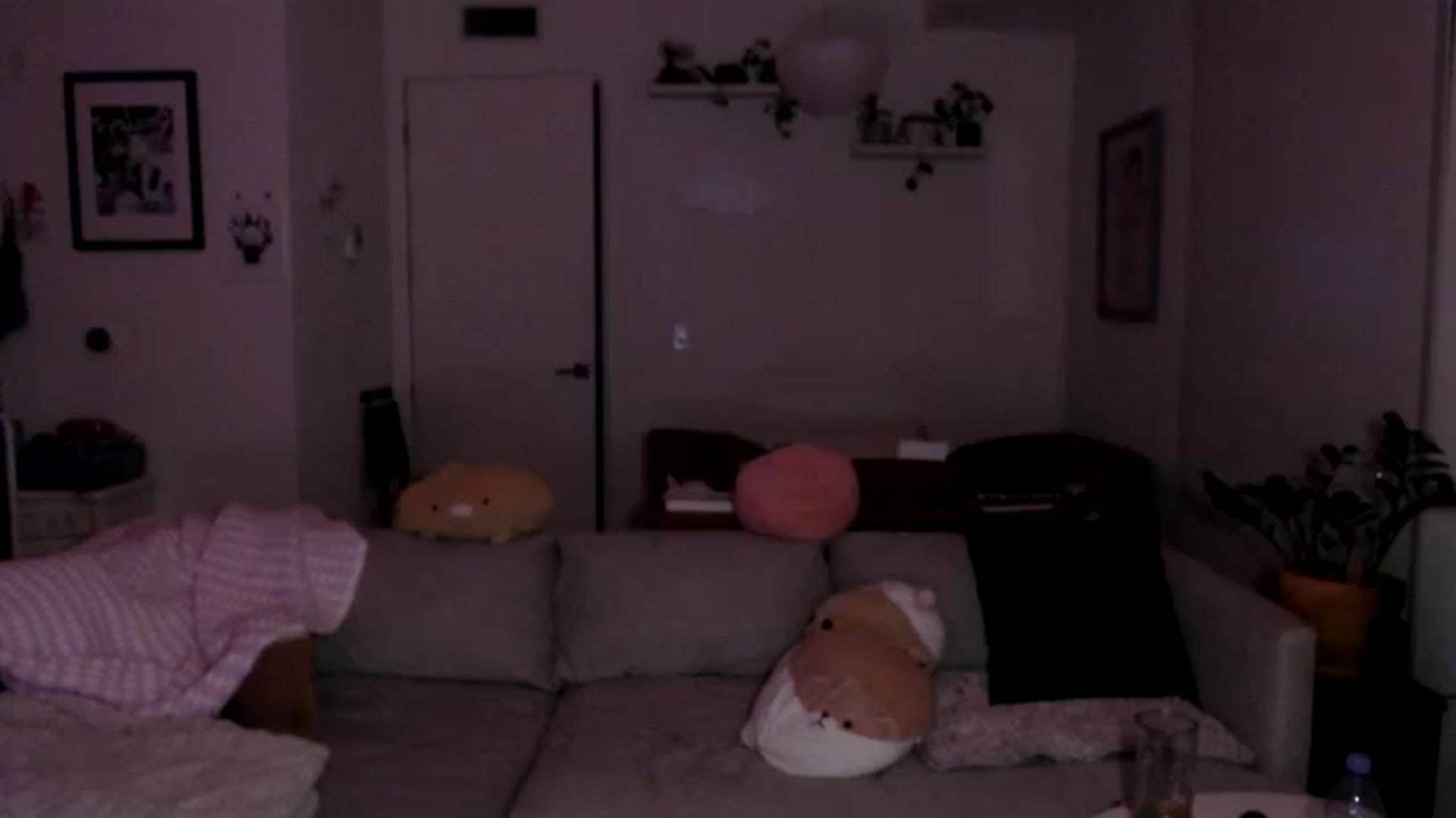 Gallery image thumbnail from Sleepych3w's myfreecams stream on, 08/01/2024, 04:43 image 3 of 20