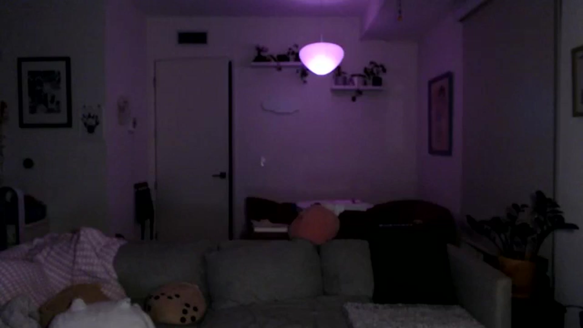 Gallery image thumbnail from Sleepych3w's myfreecams stream on, 08/03/2024, 05:41 image 13 of 20
