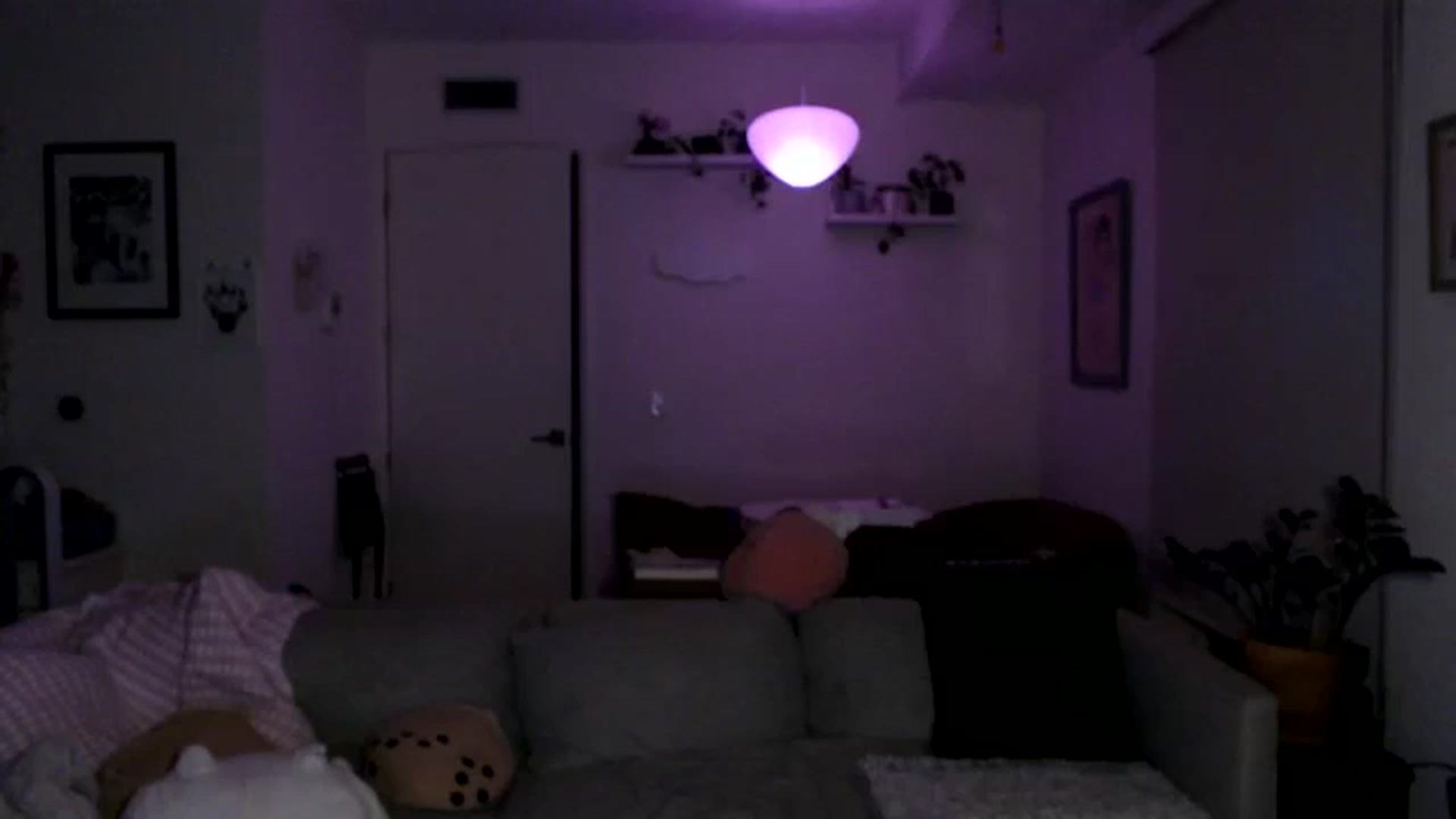 Gallery image thumbnail from Sleepych3w's myfreecams stream on, 08/03/2024, 05:41 image 12 of 20