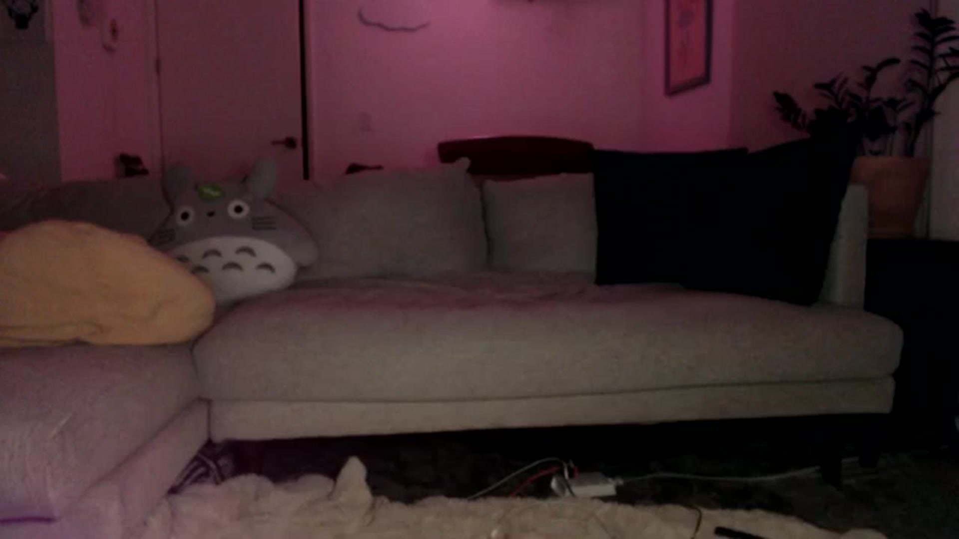 Gallery image thumbnail from Sleepych3w's myfreecams stream on, 08/12/2024, 06:31 image 2 of 20