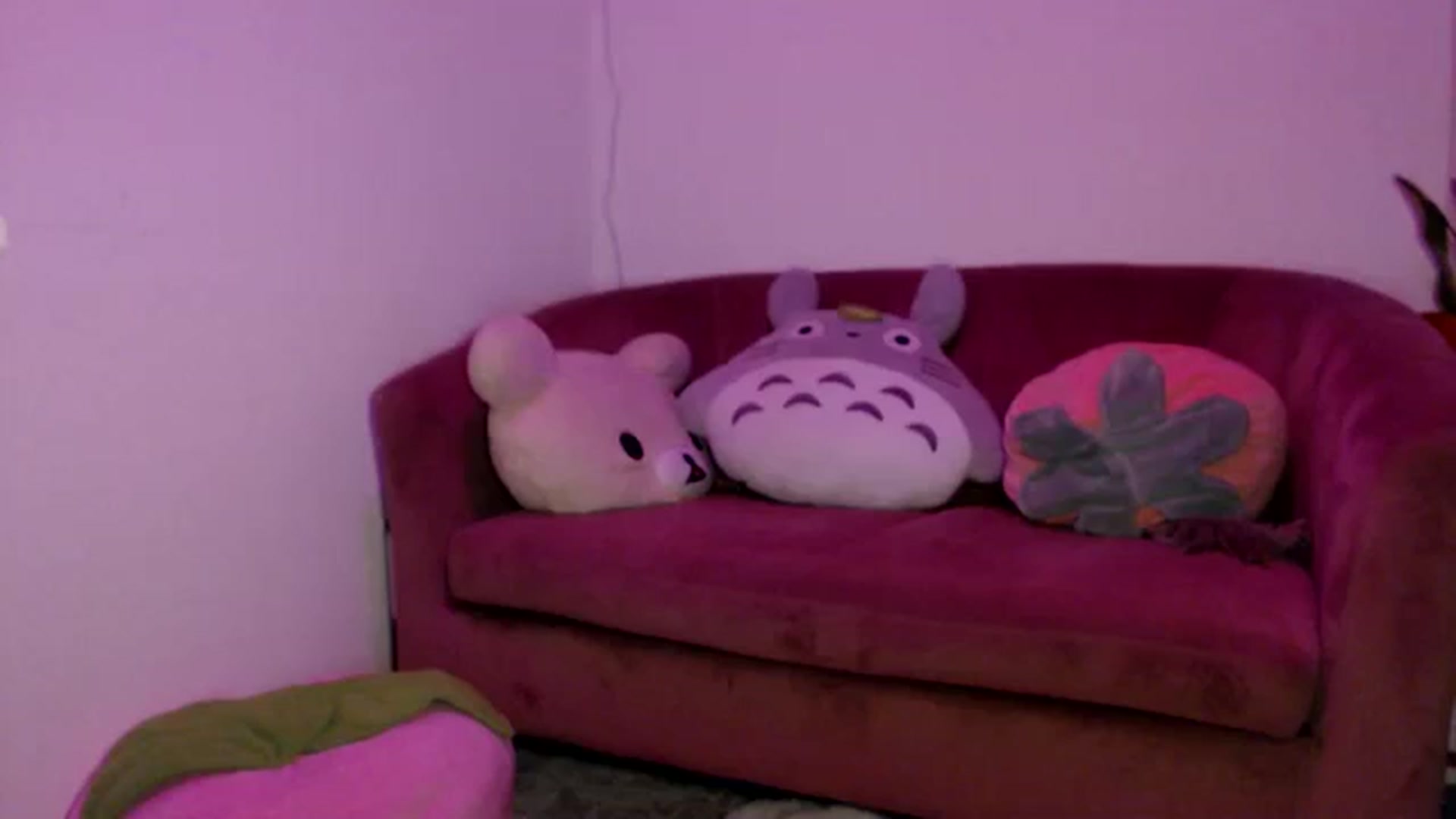 Gallery image thumbnail from Sleepych3w's myfreecams stream on, 09/06/2024, 06:55 image 13 of 20