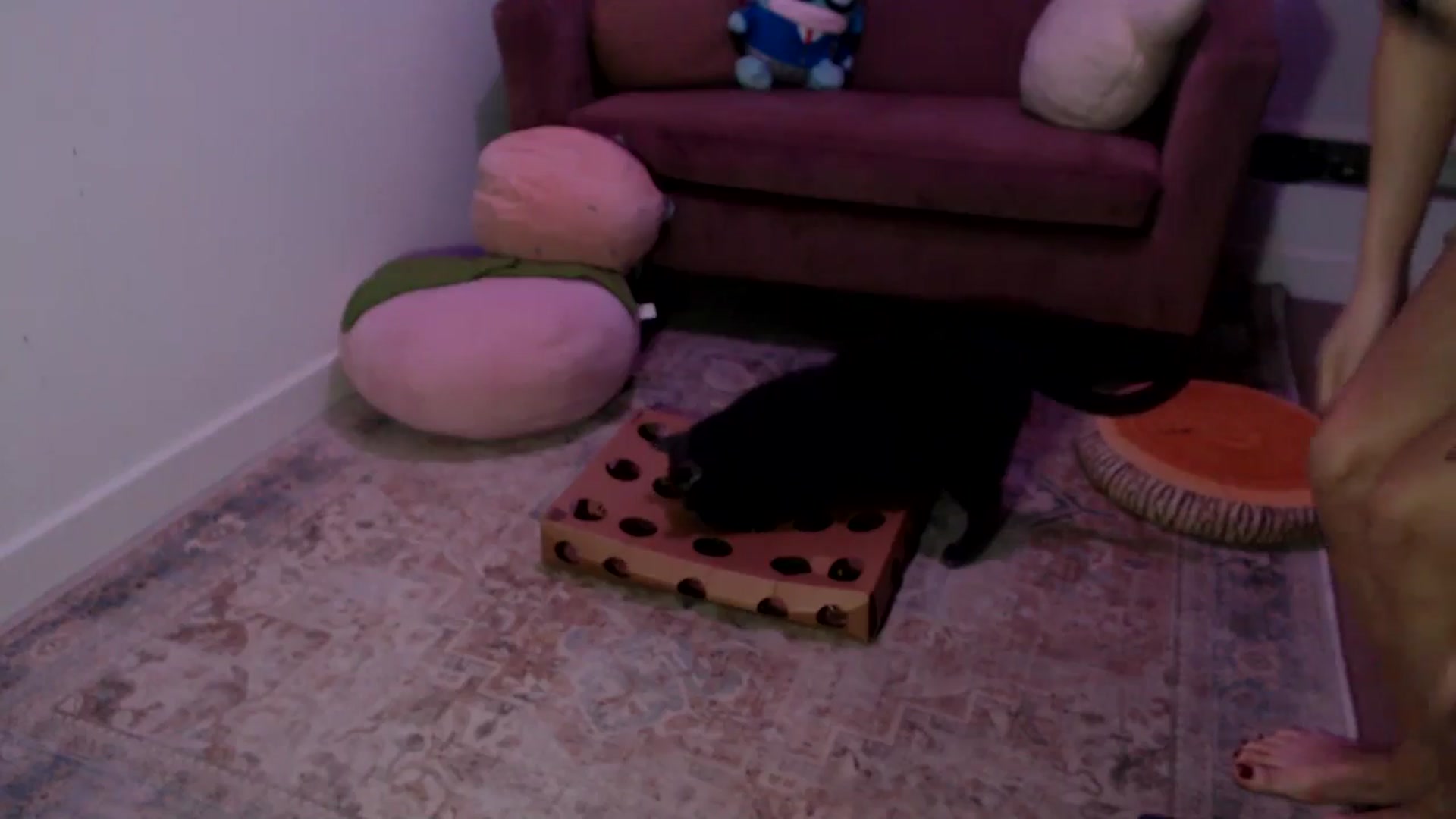 Gallery image thumbnail from Sleepych3w's myfreecams stream on, 11/11/2024, 07:18 image 9 of 20