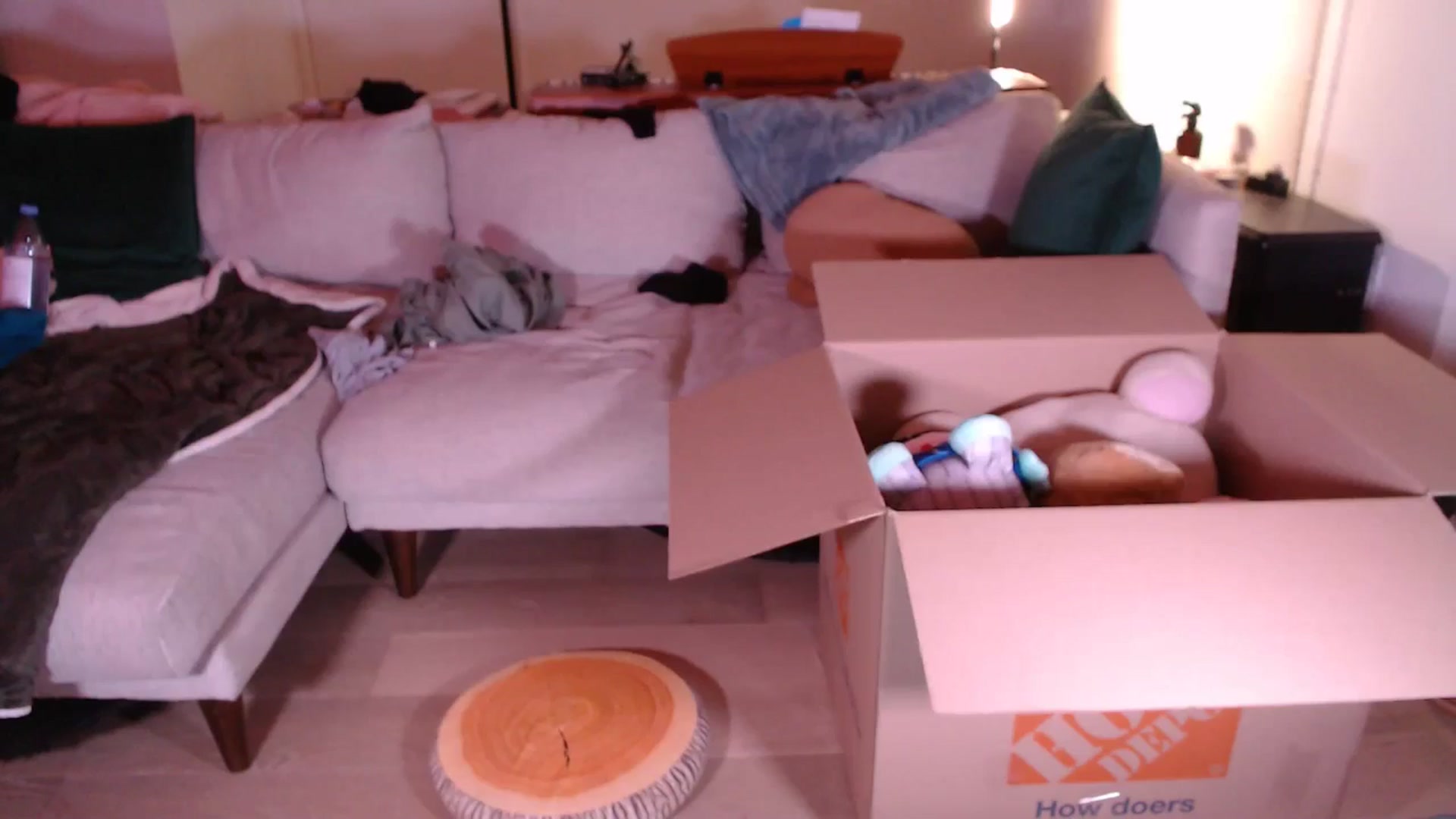 Gallery image thumbnail from Sleepych3w's myfreecams stream on, 12/02/2024, 05:40 image 5 of 20